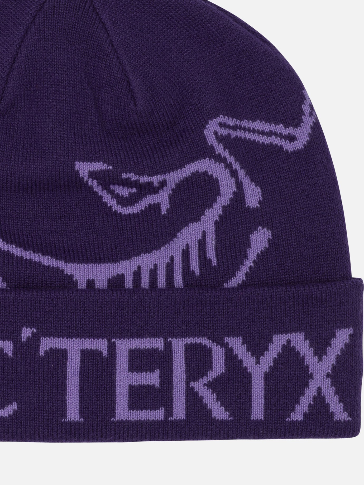 Beanies 95% polyester 4% nylon 1% elastane Purple - Arc'teryx Men | PDP | VIETTI Online Store | Zoom-Modal_3