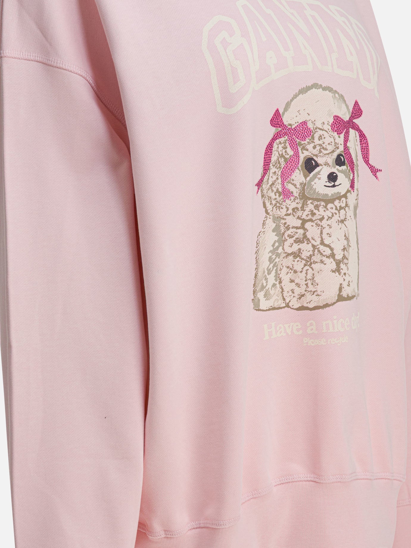 Crewnecks Logo Pink - Ganni Women | PDP | VIETTI Online Store | Zoom-Modal_4