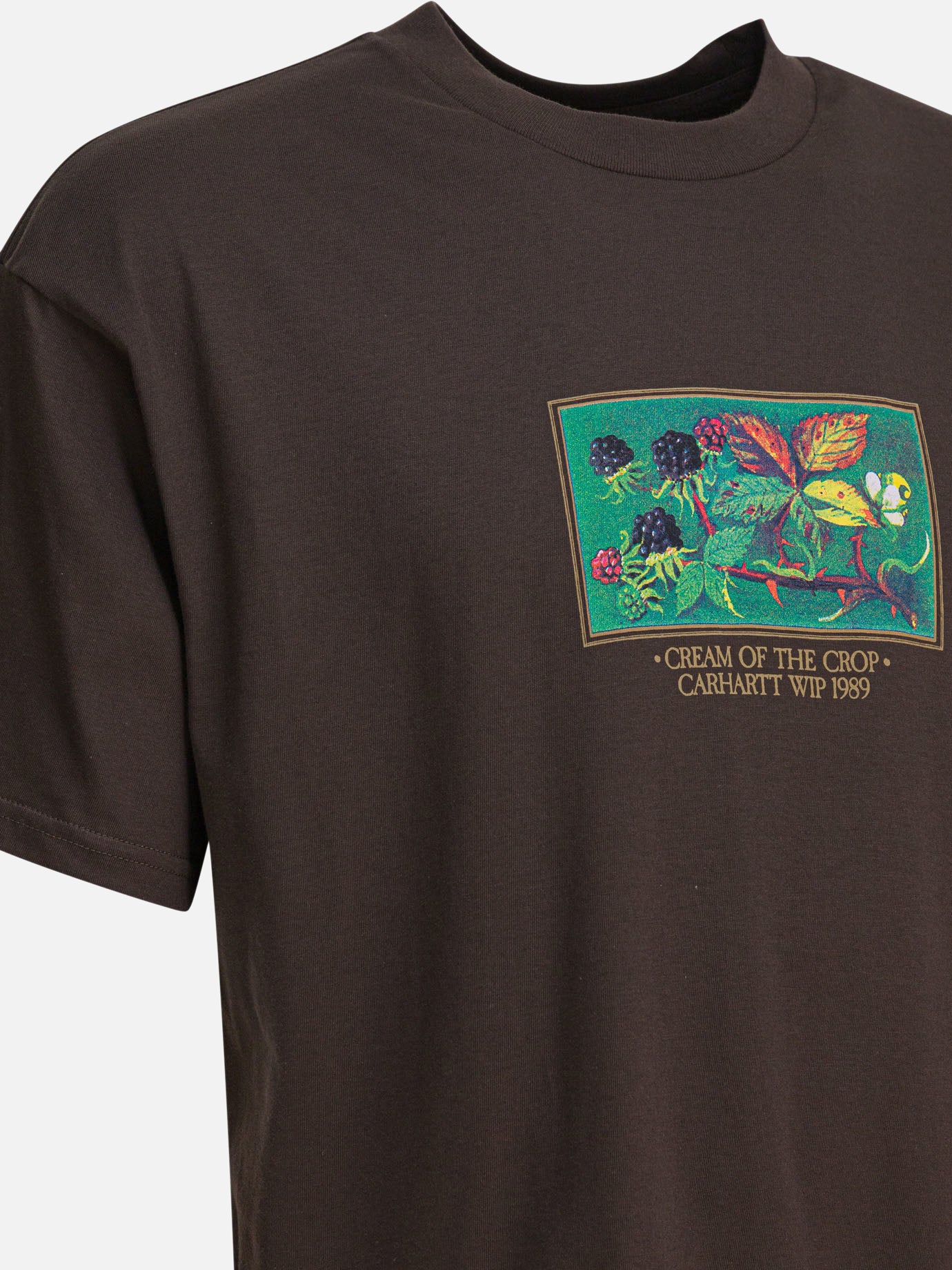 Crewneck t-shirts Graphics Brown - Carhartt WIP Men | PDP | VIETTI Online Store | Zoom-Modal_4