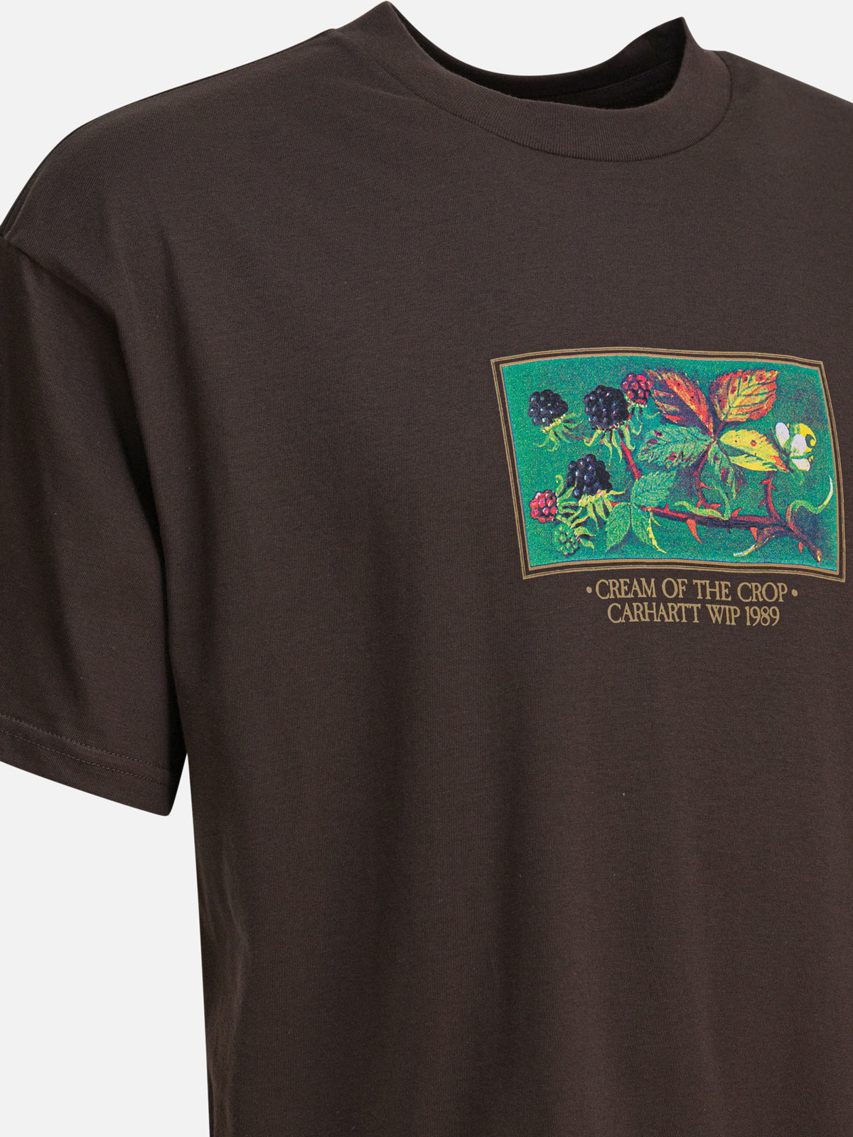 Carhartt WIP "S/S Cream Of The Crop" T-shirt Brown