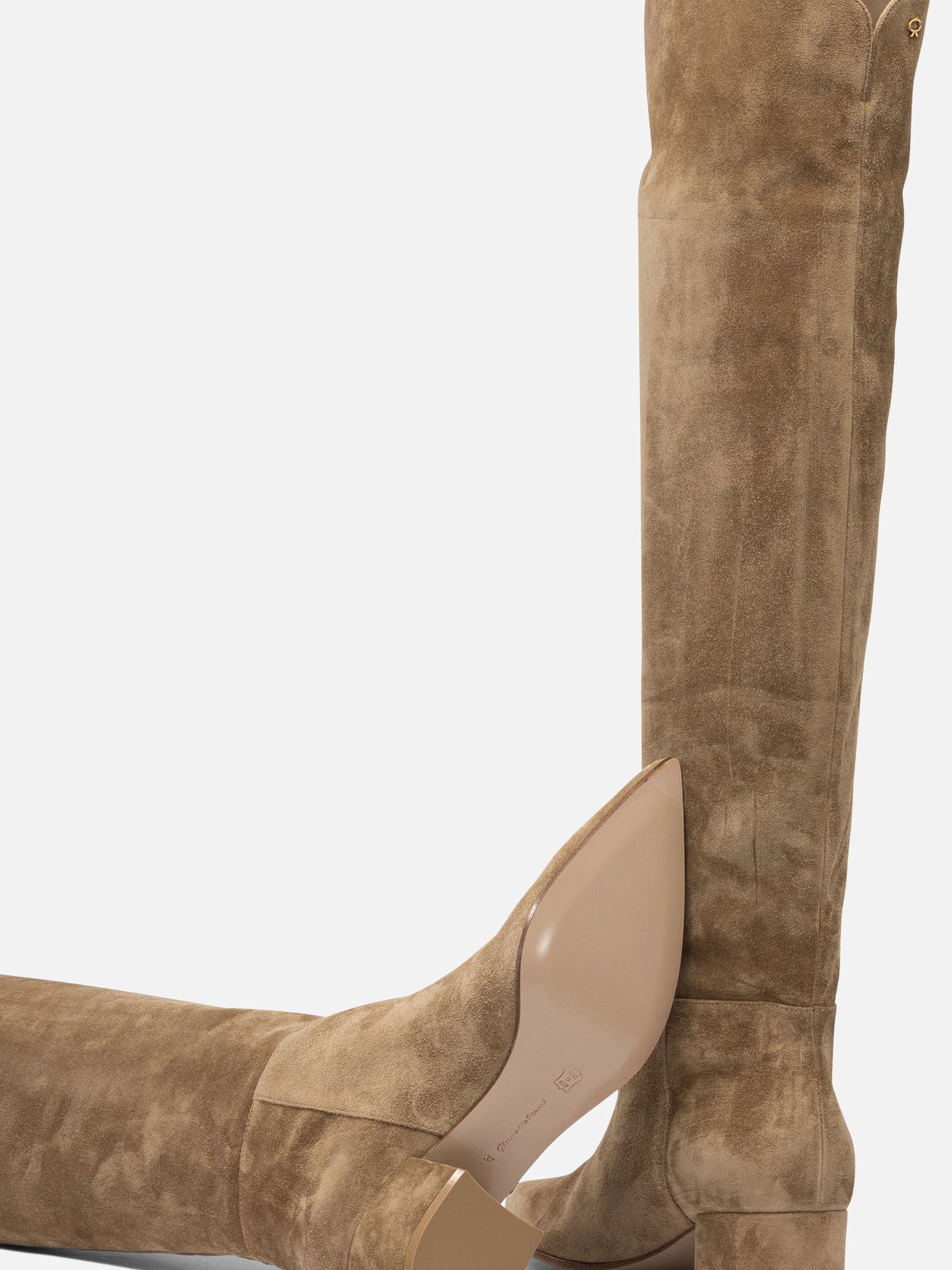 Over the knee 100% suede - 100% leather Beige - Gianvito Rossi Women | PDP | VIETTI Online Store | Zoom-Modal_5
