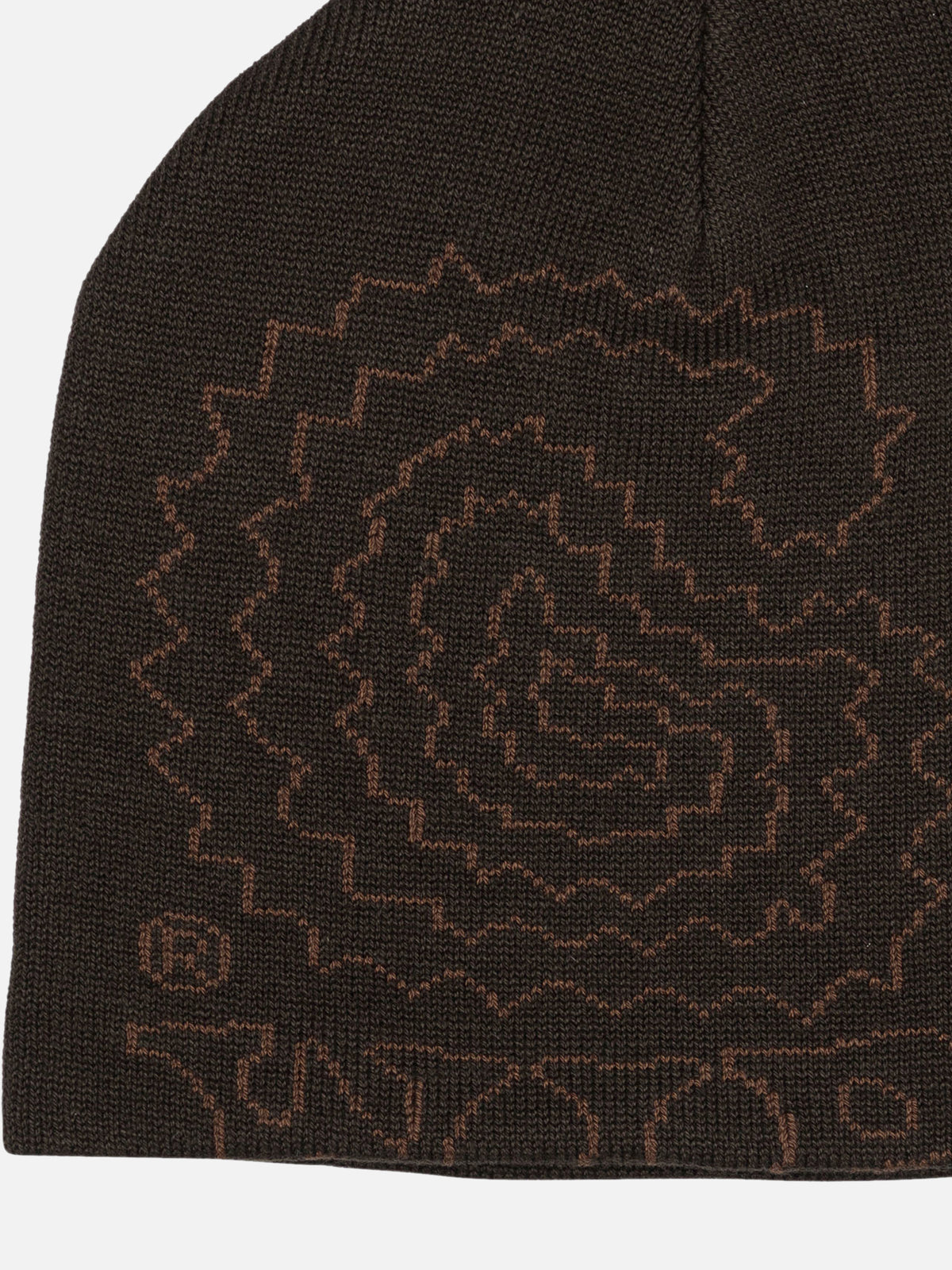 Carhartt WIP "Limn C" Beanie Brown