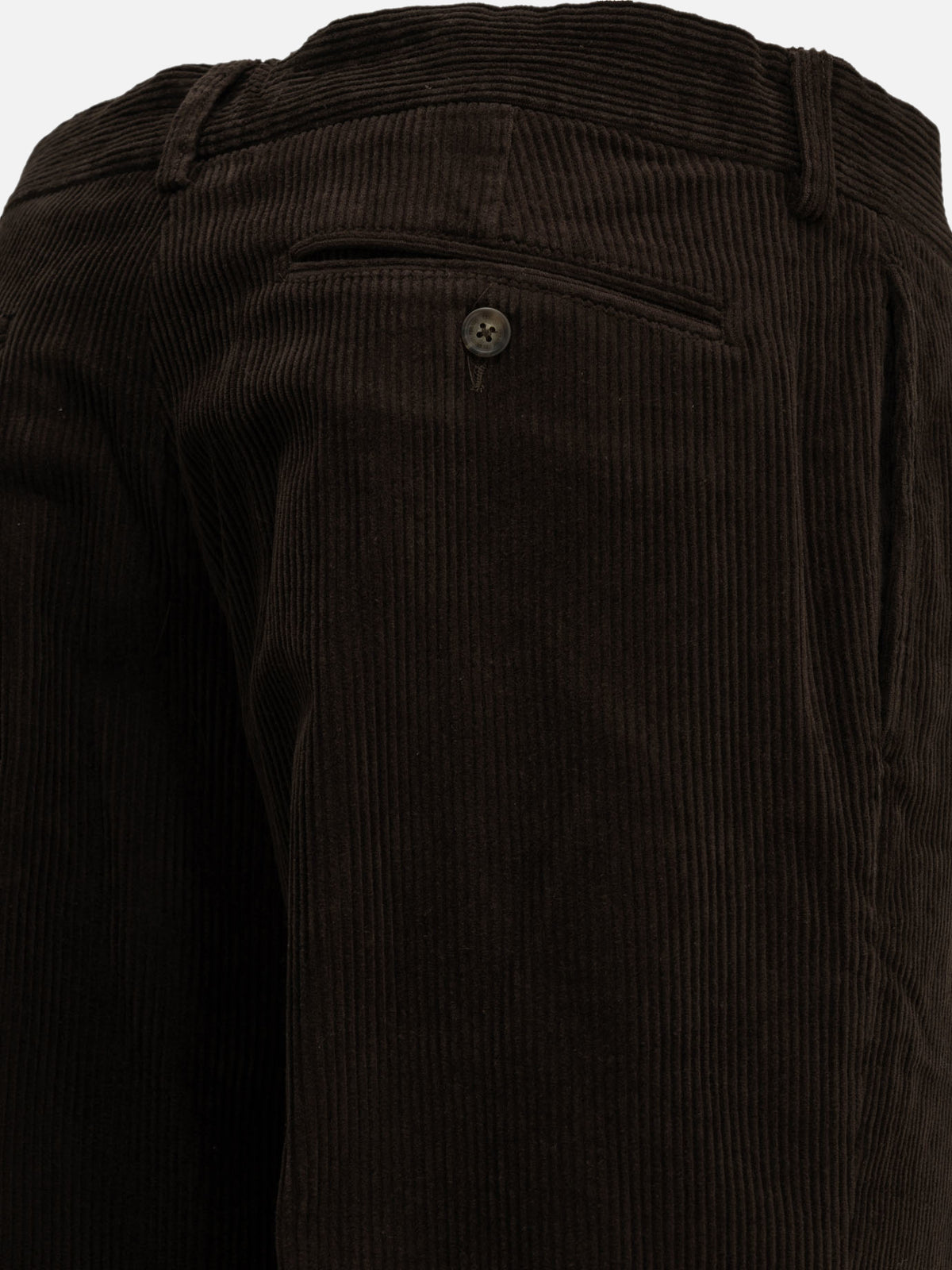 Sebago "Rendon" Casual Pants Brown