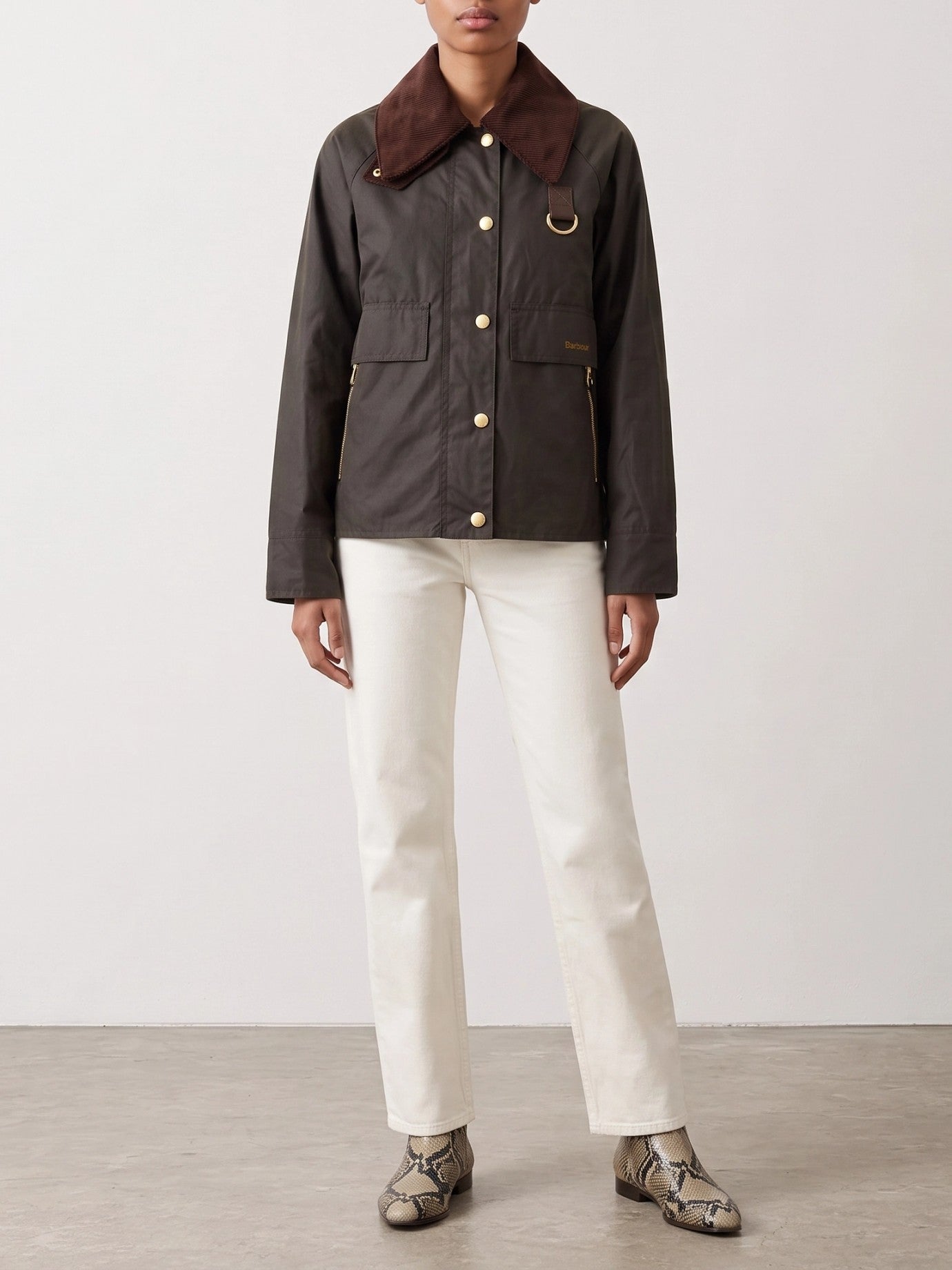 Barbour 