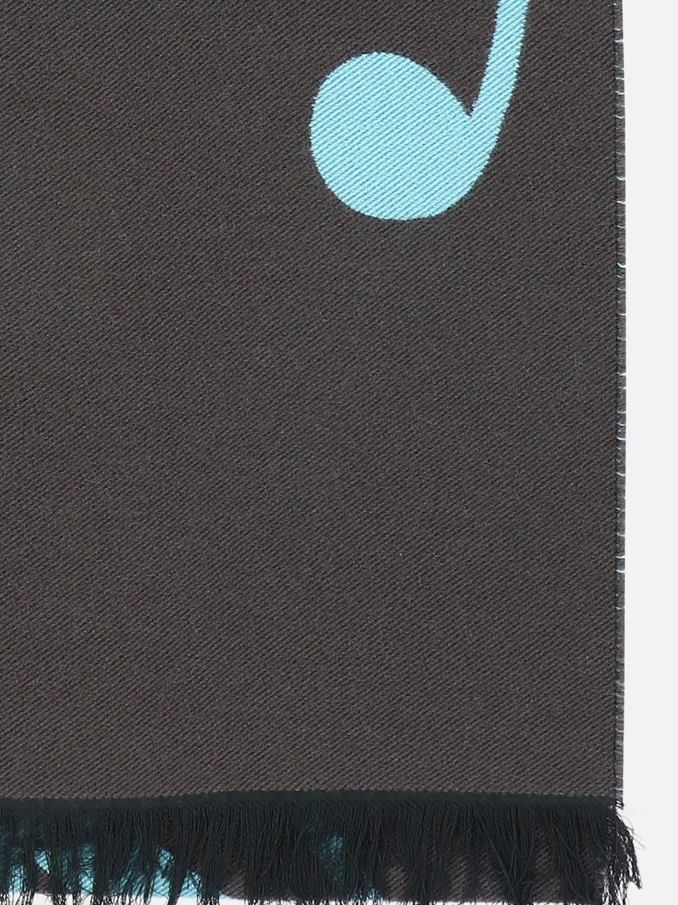 Fringed scarves 8079175  Brown - Burberry Women | PDP | VIETTI Online Store | Zoom-Modal_2
