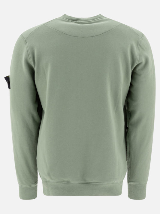 Felpe girocollo Logo  Verde - Stone Island Uomo | PLP | VIETTI Online Store | 2
