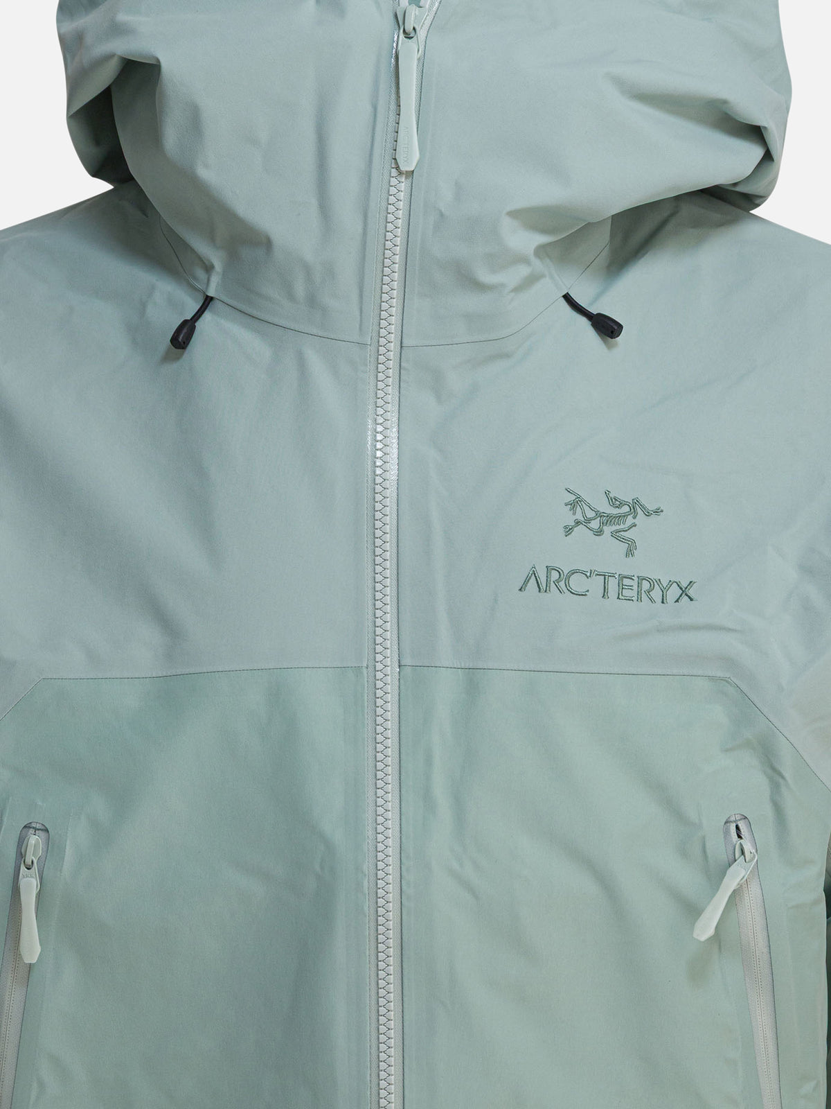 Arc'teryx "Beta AR Stormhood" Jacket Green - VIETTI
