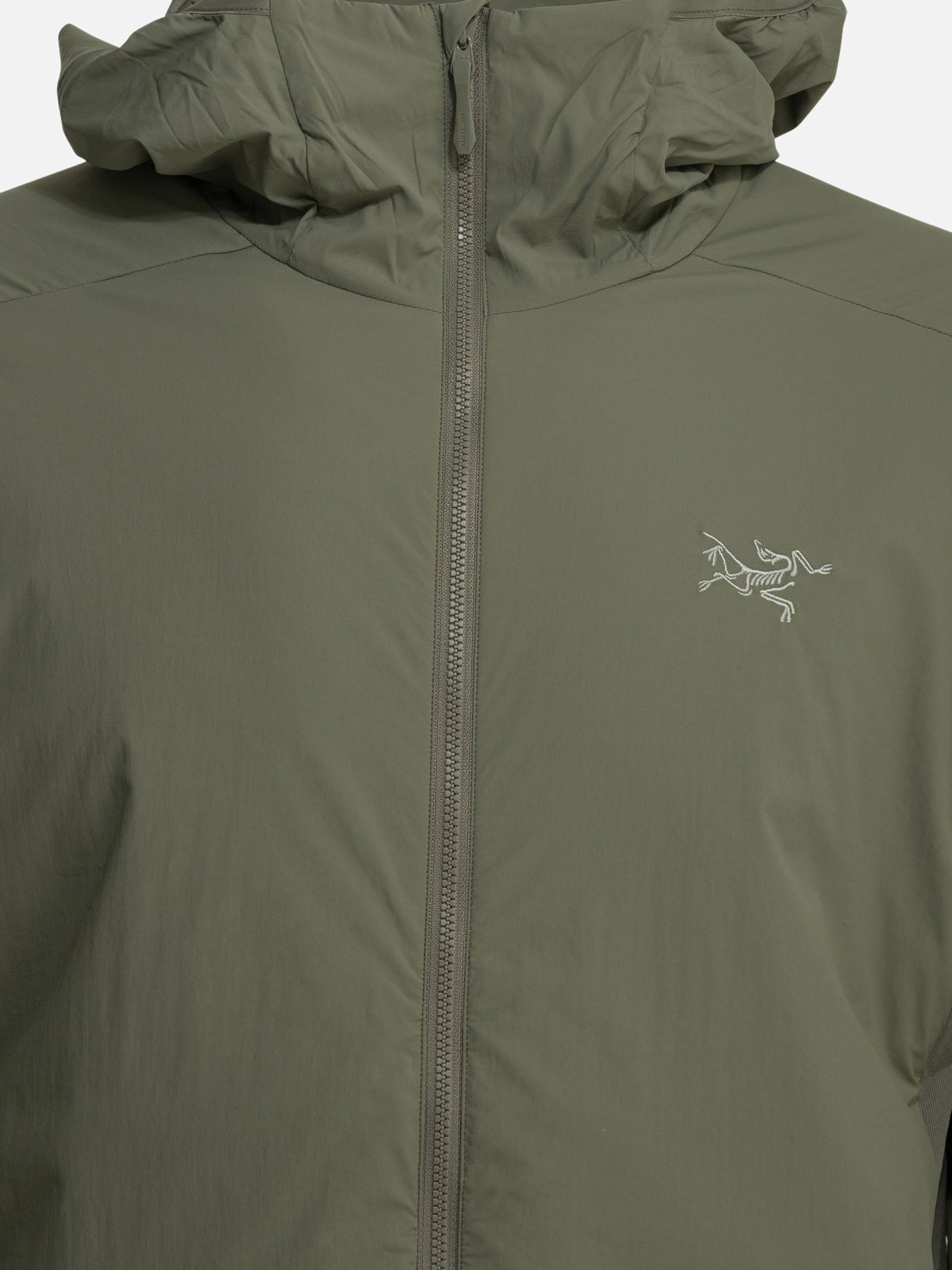 Felpe con cappuccio Logo  Verde - Arc'teryx Uomo | PDP | VIETTI Online Store | thumbnail_5