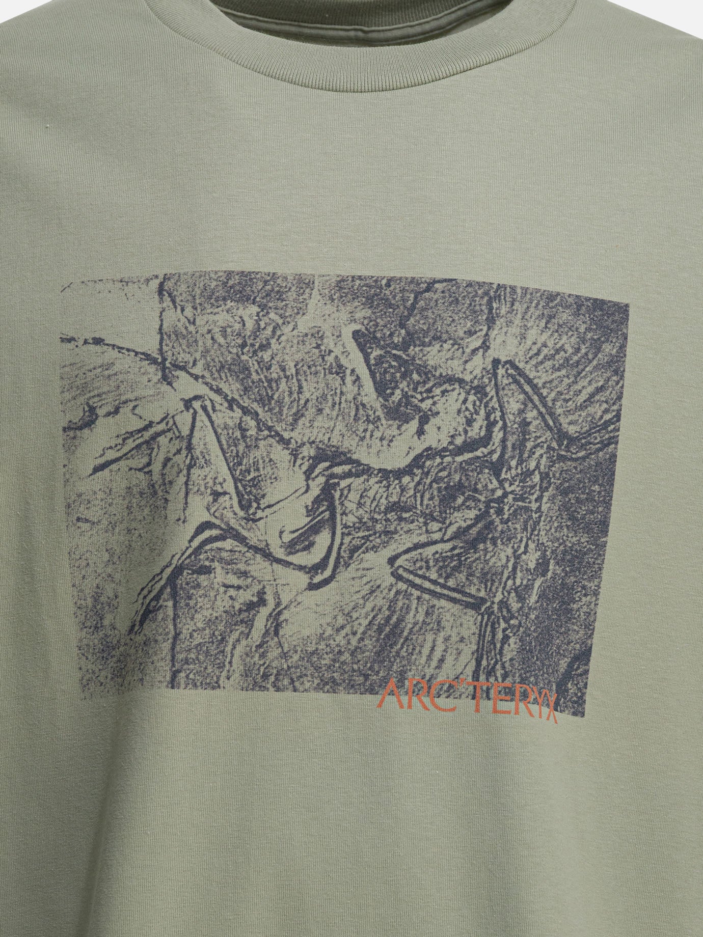 Crewneck t-shirts Logo  Grey - Arc'teryx Men | PDP | VIETTI Online Store | Zoom-Modal_3
