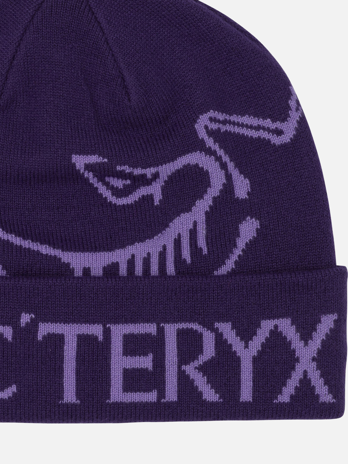Arc'teryx "Bird Word Toque" beanie Purple