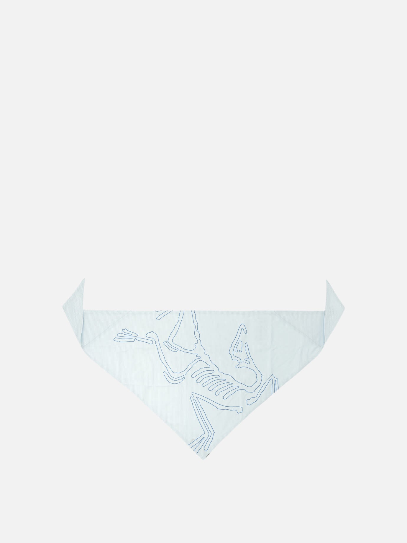 Classic scarves 100% polyester - Secondary fabric: 72% nylon 28% elastane  Light blue - Arc'teryx Men | PDP | VIETTI Online Store | thumbnail