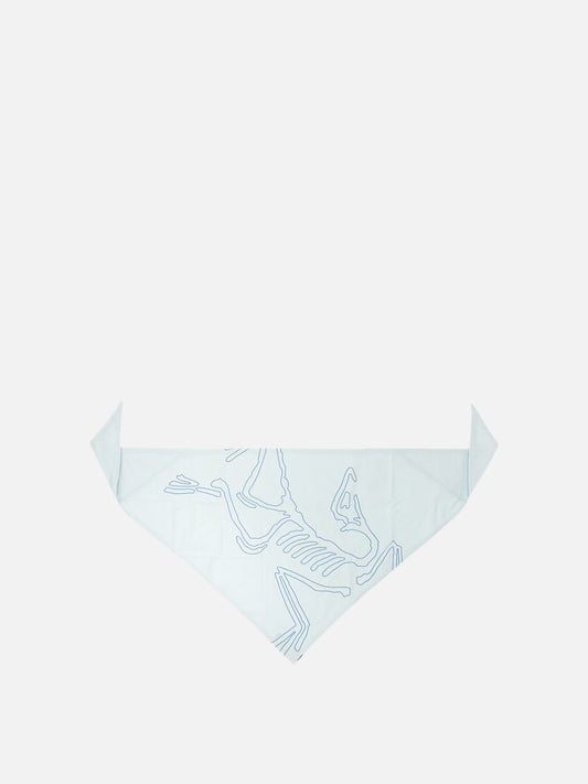 Classic scarves 100% polyester - Secondary fabric: 72% nylon 28% elastane  Light blue - Arc'teryx Men | PLP | VIETTI Online Store 
