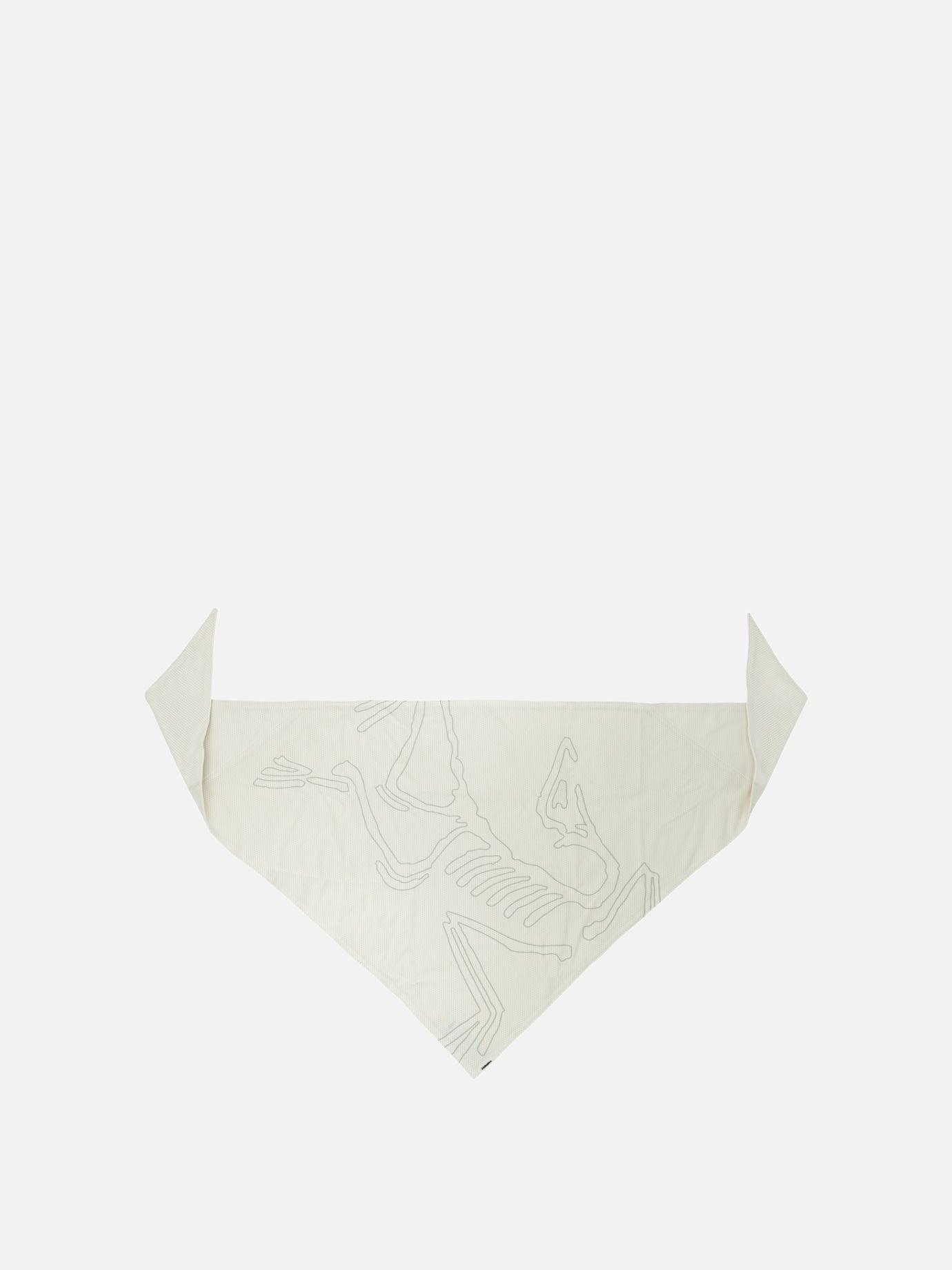 Classic scarves 100% polyester - Secondary fabric: 72% nylon 28% elastane  Beige - Arc'teryx Men | PDP | VIETTI Online Store | thumbnail