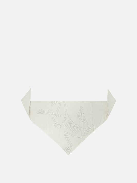 Classic scarves 100% polyester - Secondary fabric: 72% nylon 28% elastane  Beige - Arc'teryx Men | PDP | VIETTI Online Store 
