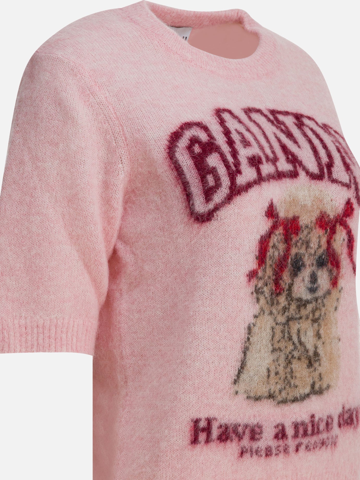 Crewneck sweaters Logo  Pink - Ganni Women | PDP | VIETTI Online Store | Zoom-Modal_4
