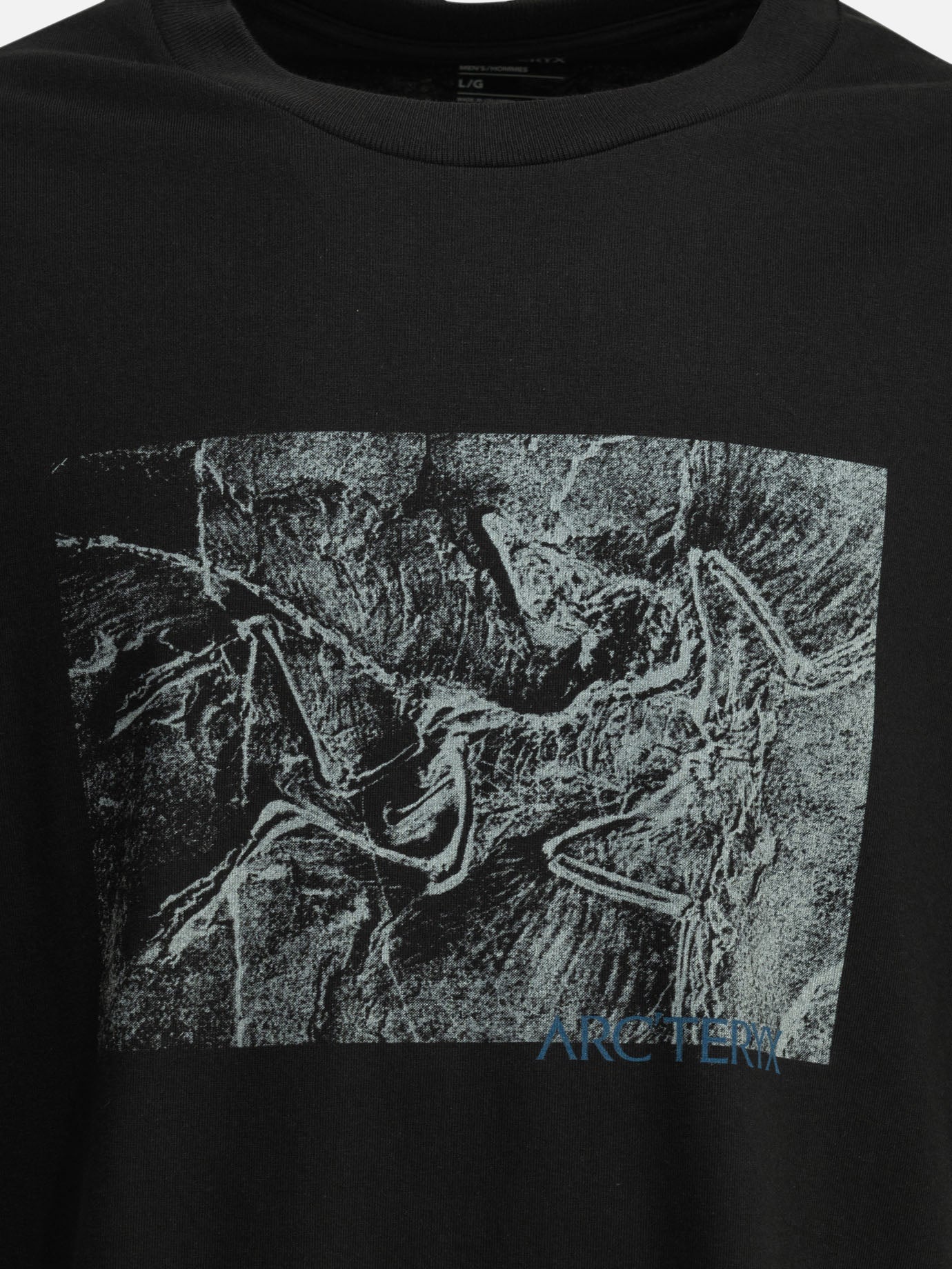 Crewneck t-shirts Graphics  Black - Arc'teryx Men | PDP | VIETTI Online Store | thumbnail_3