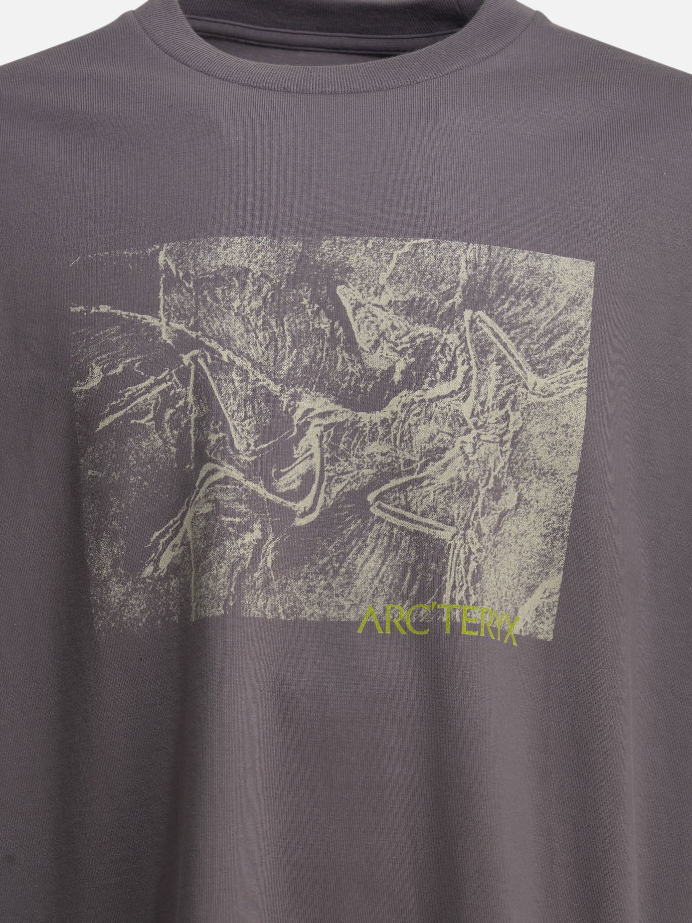 Crewneck t-shirts Graphics  Purple - Arc'teryx Men | PDP | VIETTI Online Store | thumbnail_3