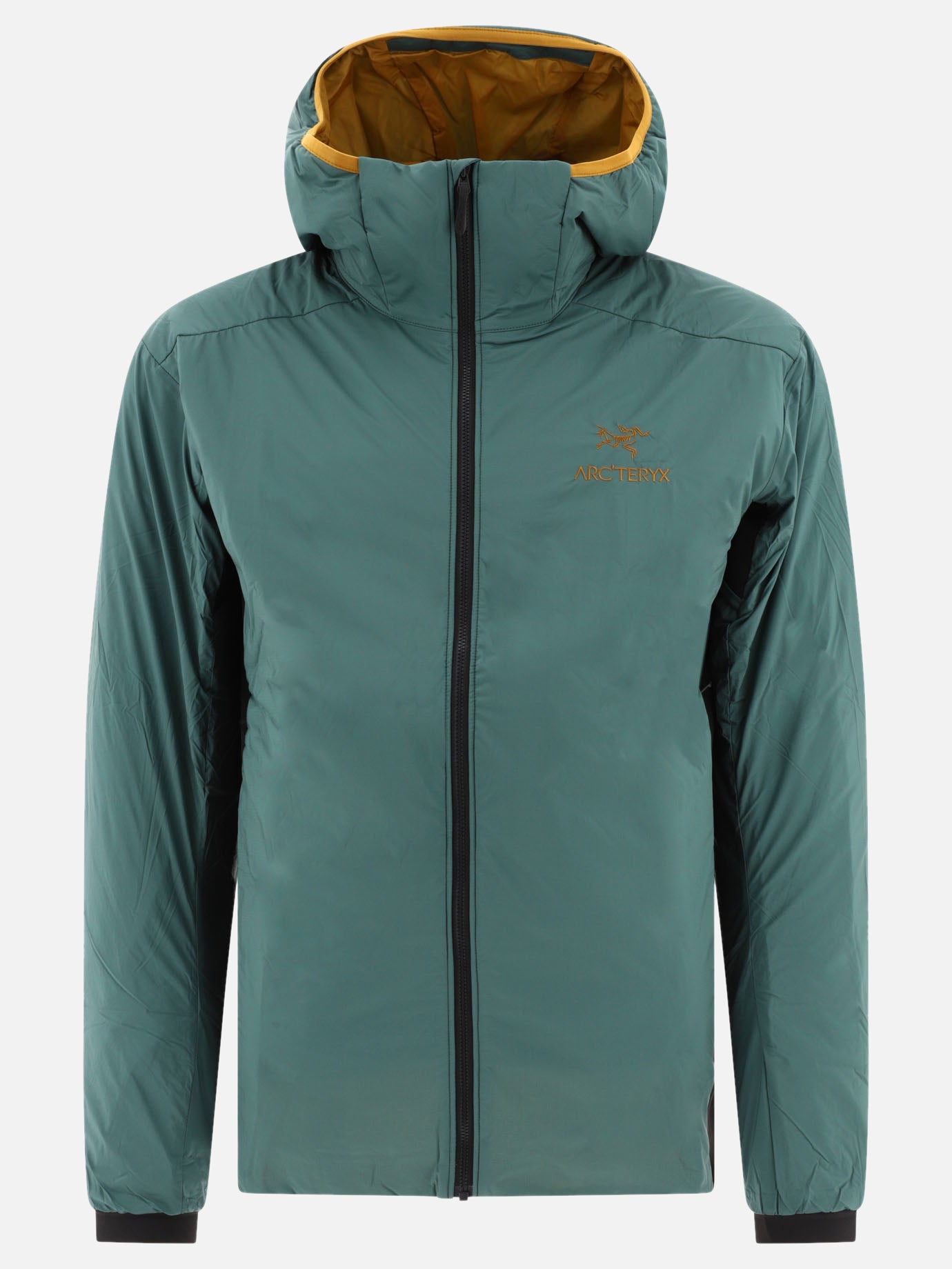 Giacche tecniche Logo  Verde - Arc'teryx Uomo | PDP | VIETTI Online Store | Zoom-Modal
