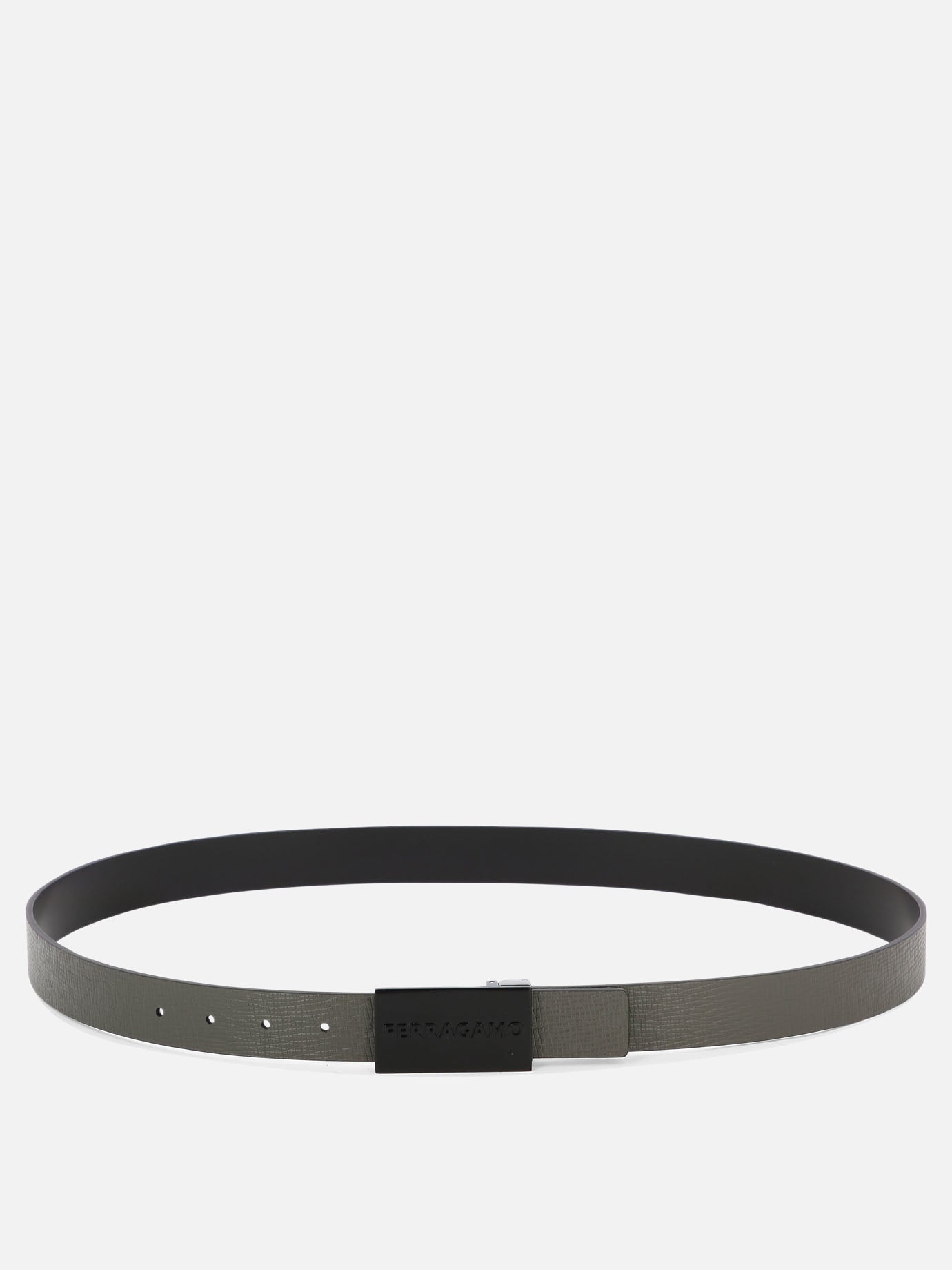 Adjustable and reversible belt