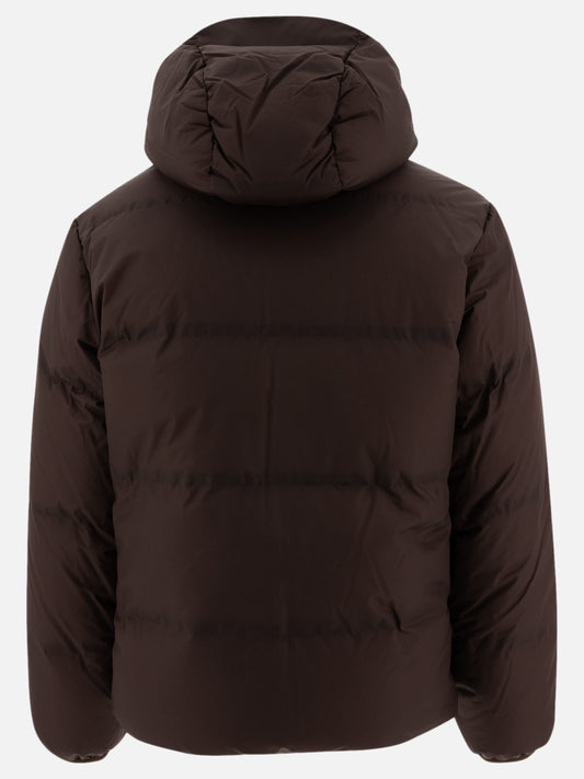 Piumini corti Solid colour  Marrone - C.P. Company Uomo | PLP | VIETTI Online Store | 2
