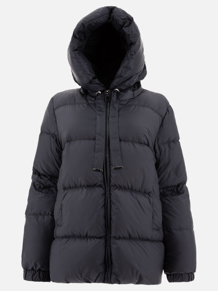 Max Mara 