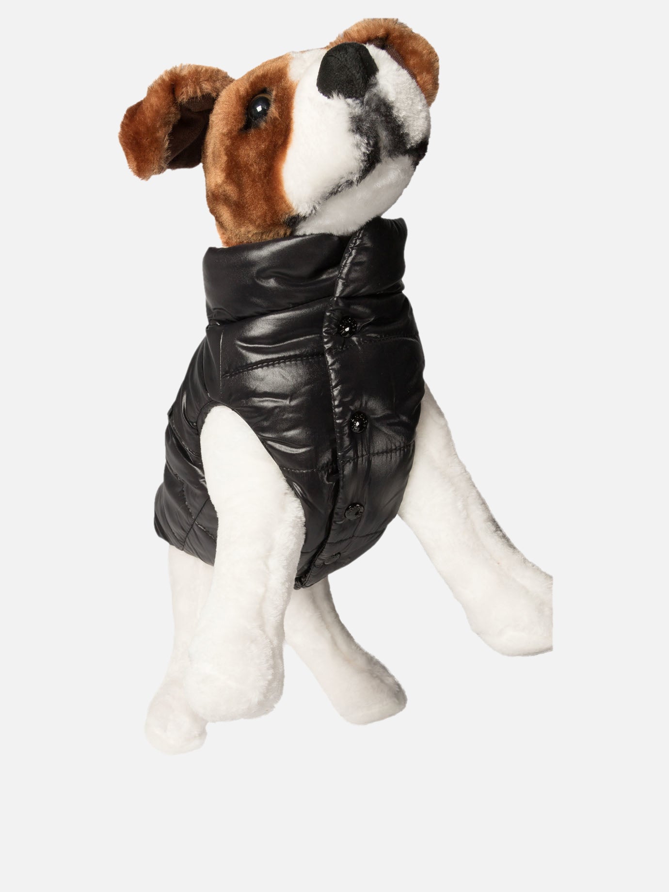 Dog vest