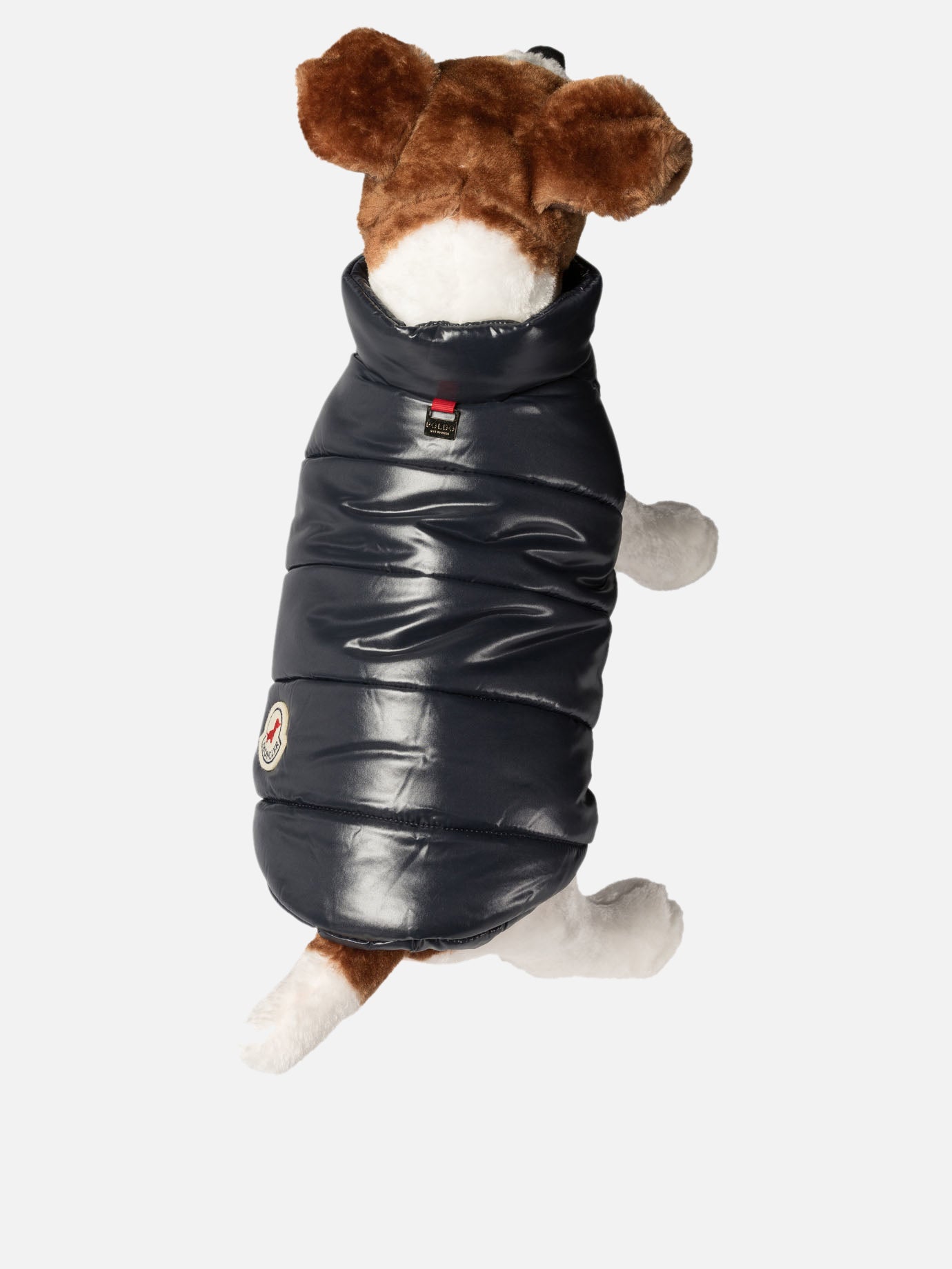 Dog vest