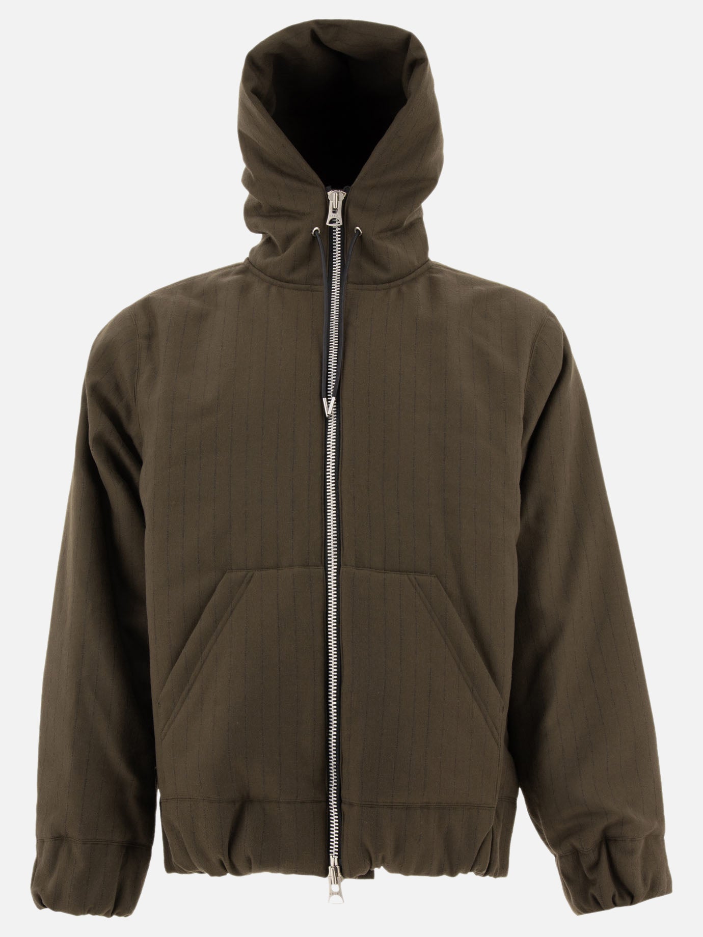 Sacai Pinstriped hooded jacket Brown