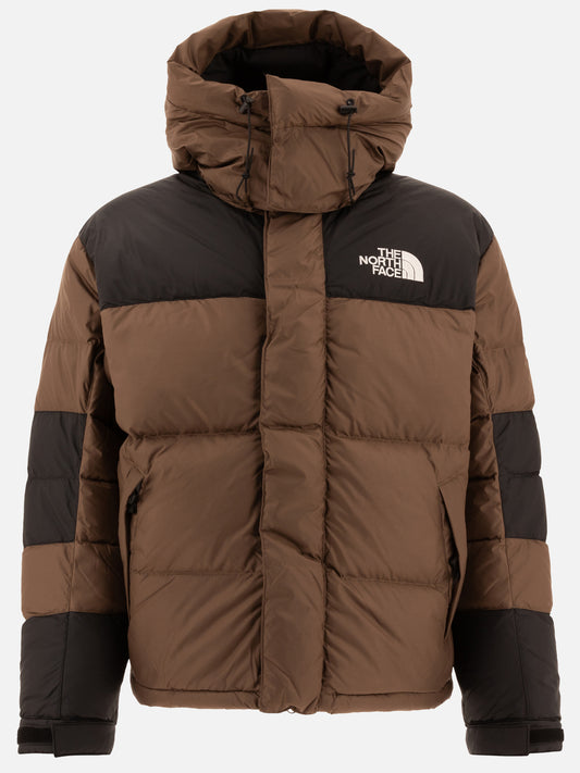 Piumini corti Solid colour  Marrone - The North Face Uomo | PLP | VIETTI Online Store 
