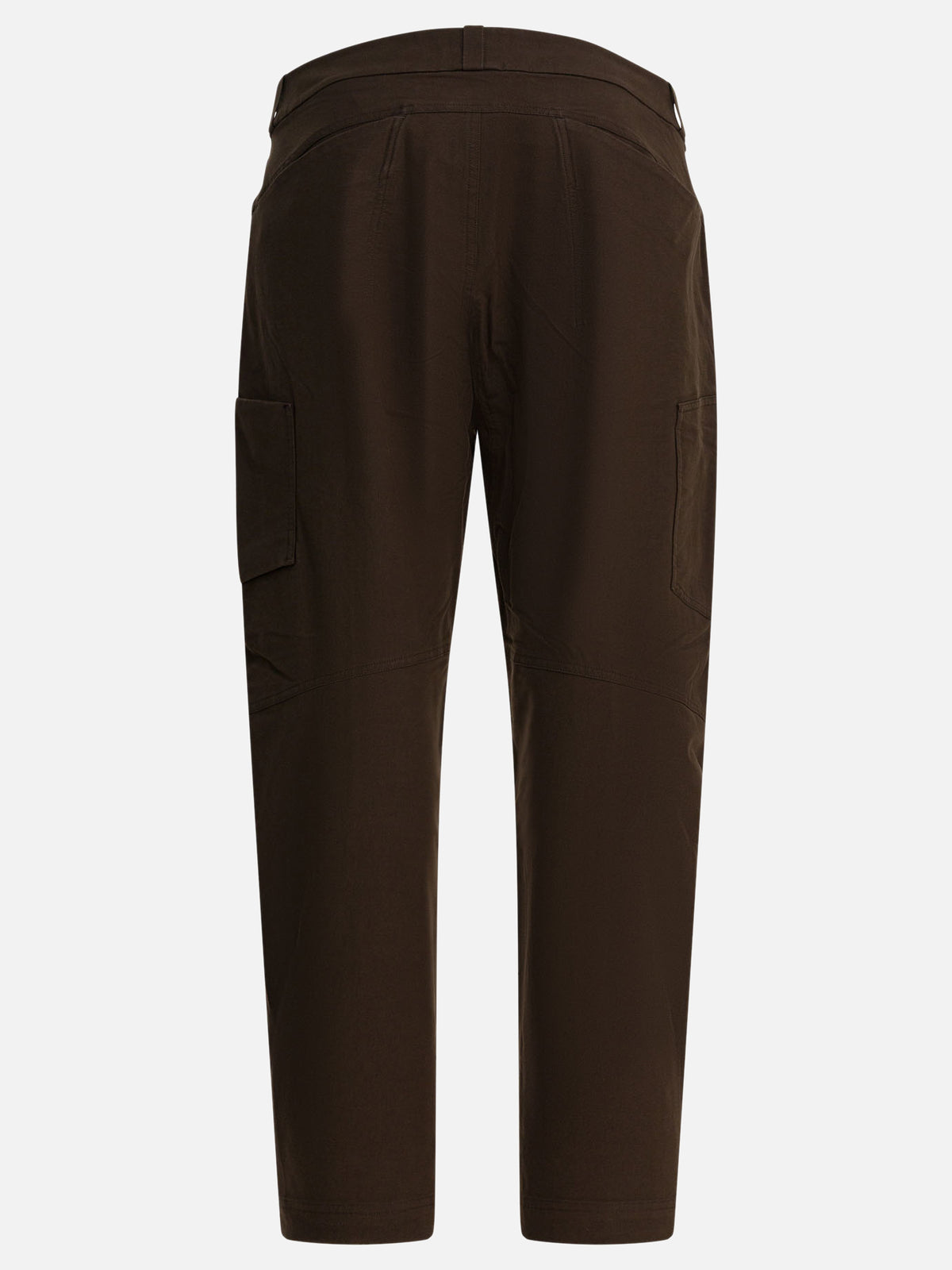 Arc'teryx Cronin" pants Brown