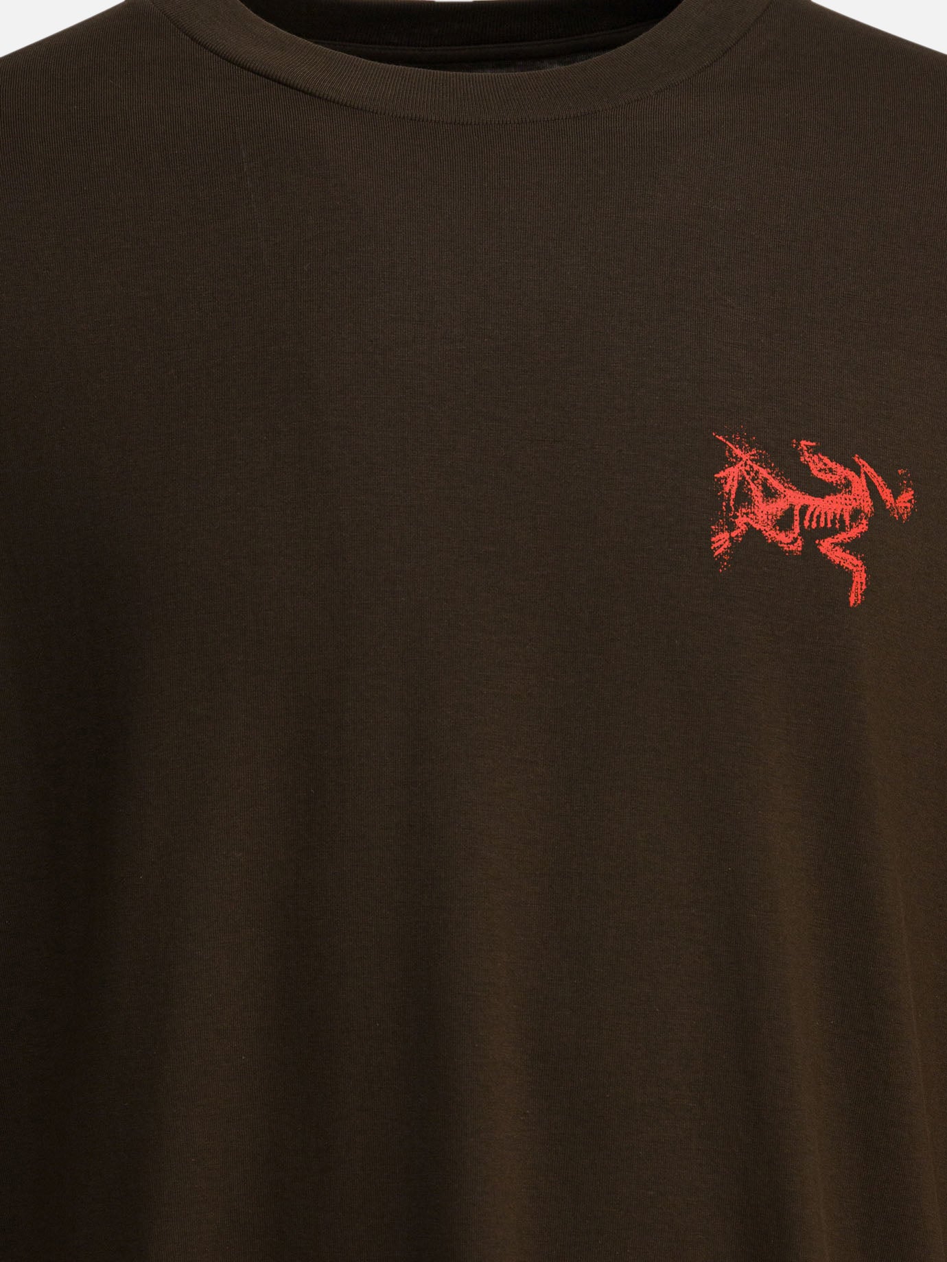 Arc'teryx 