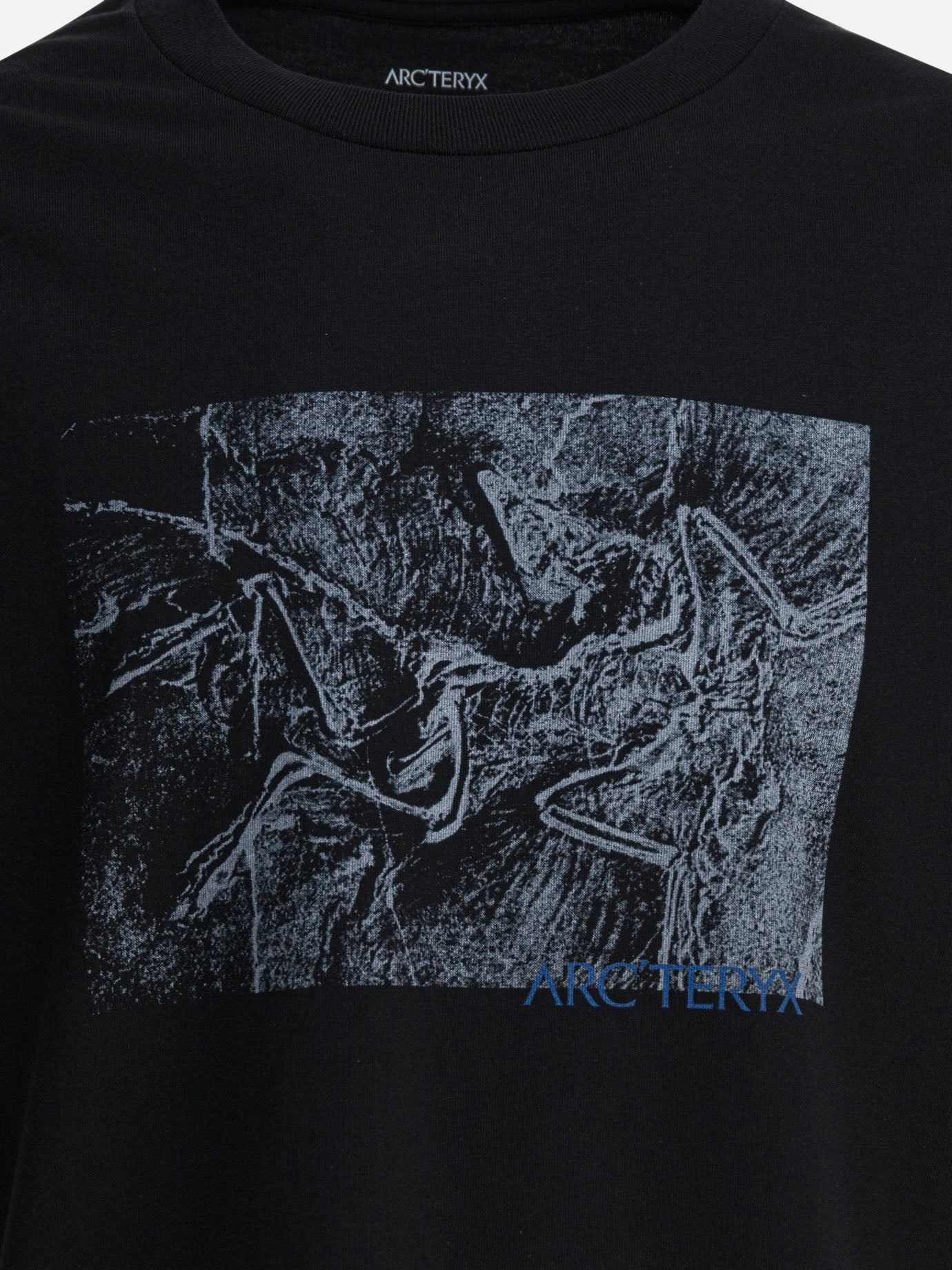 T-shirt girocollo Graphics  Nero - Arc'teryx Uomo | PDP | VIETTI Online Store | Zoom-Modal_3
