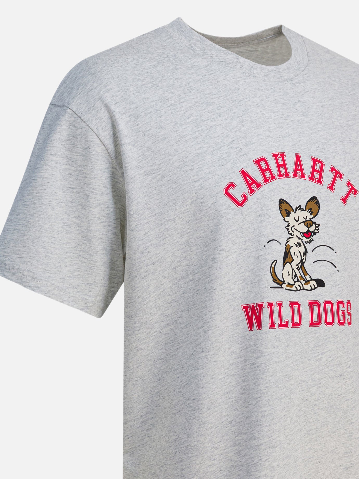 T-shirt girocollo Print  Grigio - Carhartt WIP Uomo | PDP | VIETTI Online Store | Zoom-Modal_4
