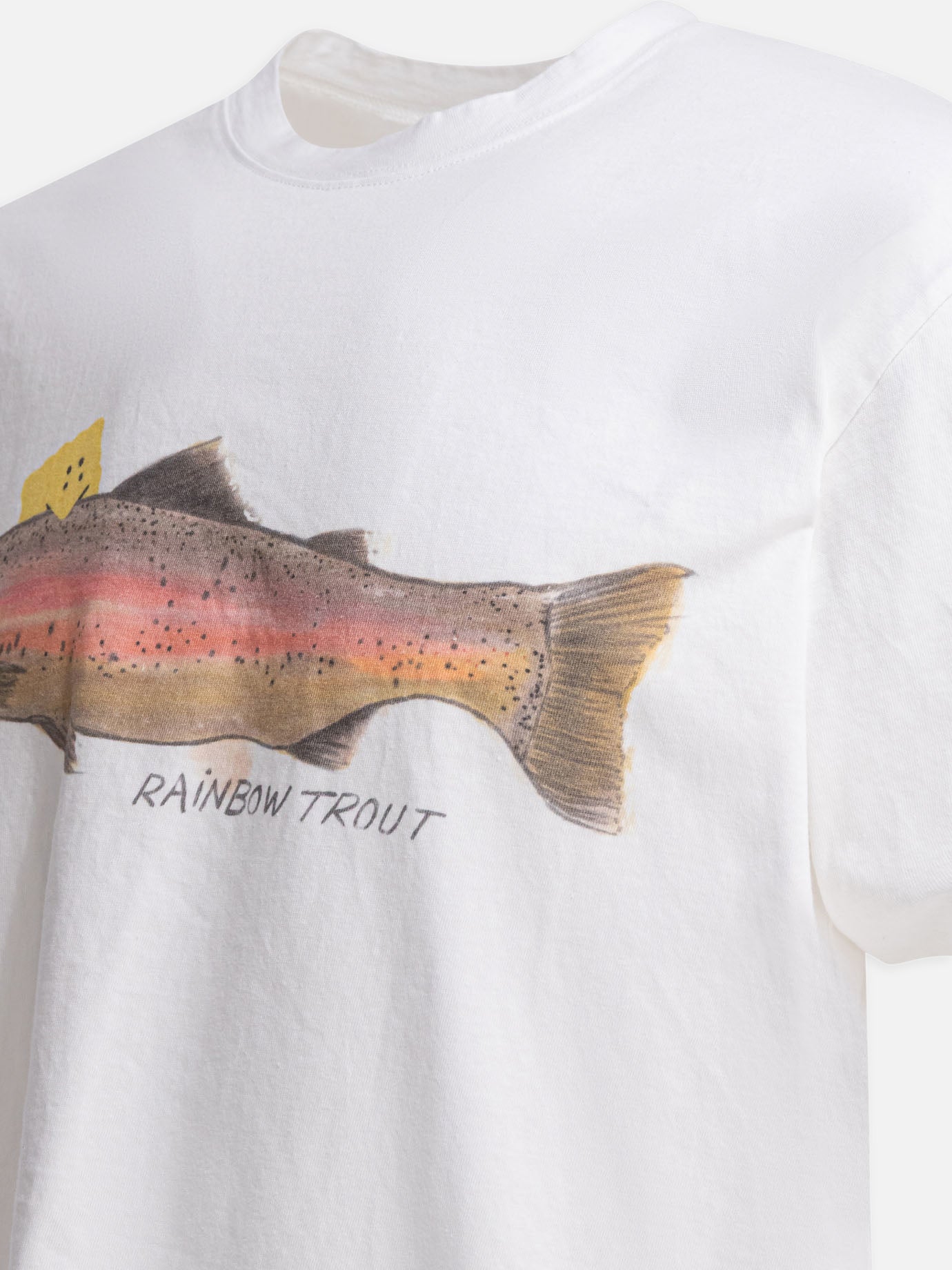 T-shirt girocollo Graphics  Bianco - KAPITAL Uomo | PDP | VIETTI Online Store | thumbnail_4