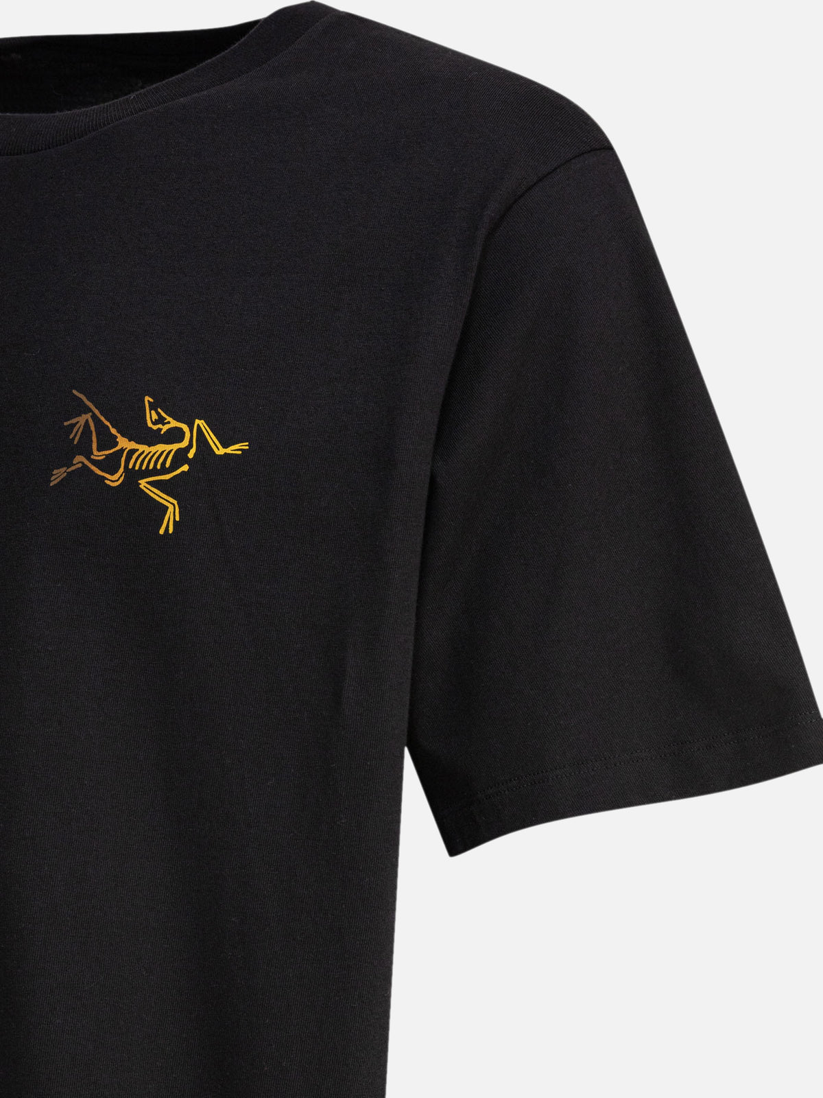Arc'teryx "Kragg" Crew-Neck T-Shirt Black - VIETTI