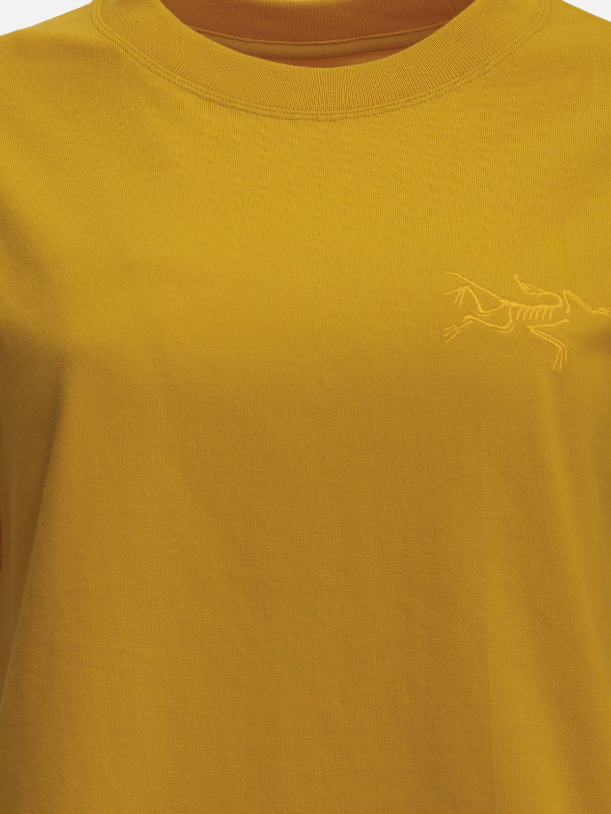 Arc'teryx "Kragg Little Bird" Crew-Neck T-Shirt Yellow - VIETTI