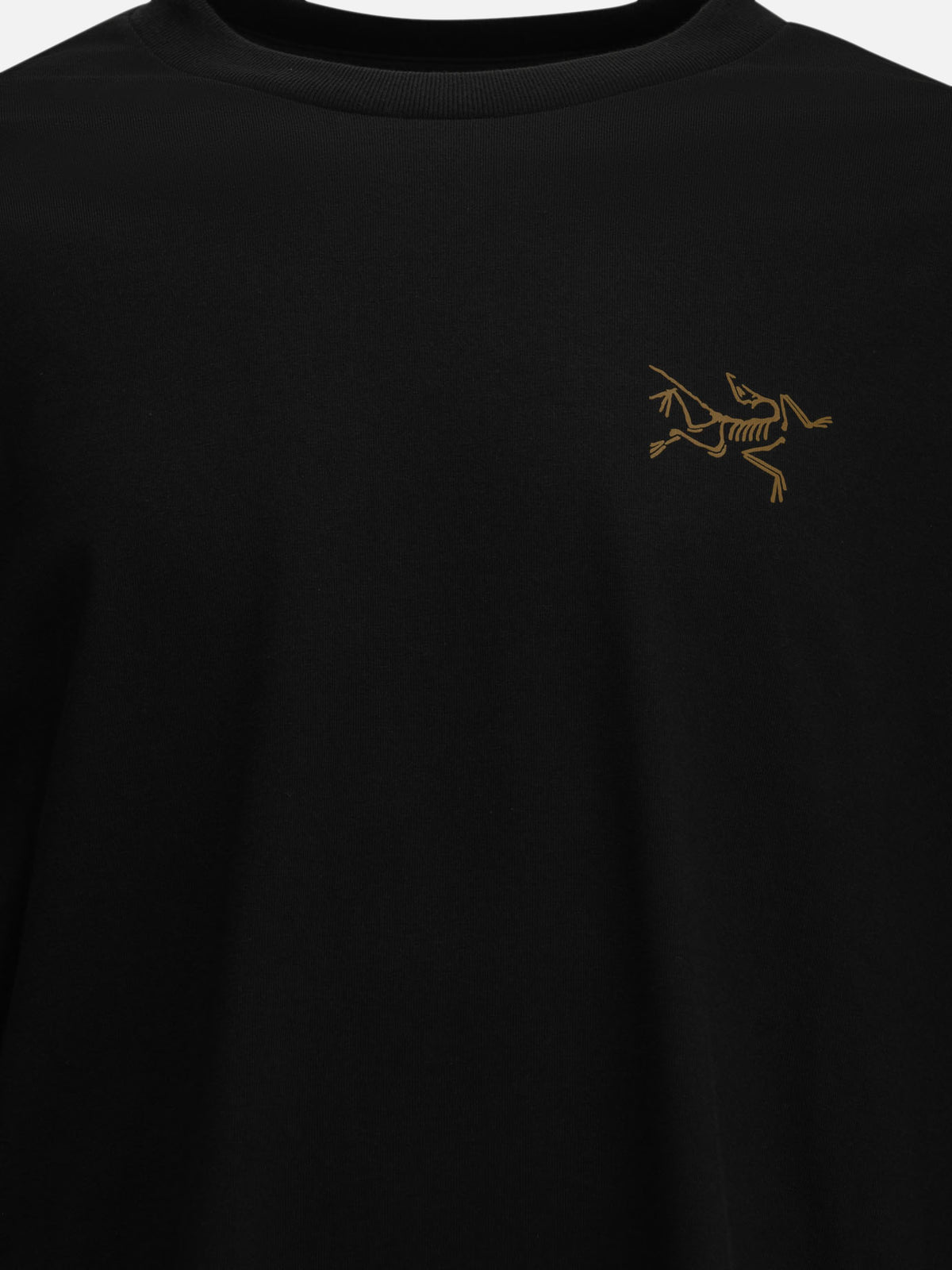 Arc'teryx "Kragg" Crew-Neck T-Shirt Black - VIETTI