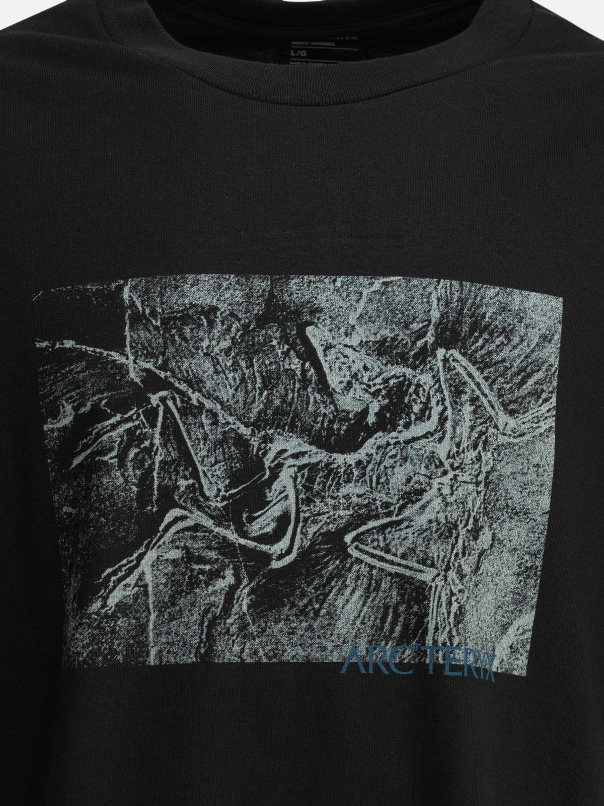 Arc'teryx "Kragg Cotton Lithographica SS" crewneck T-shirt Black - VIETTI