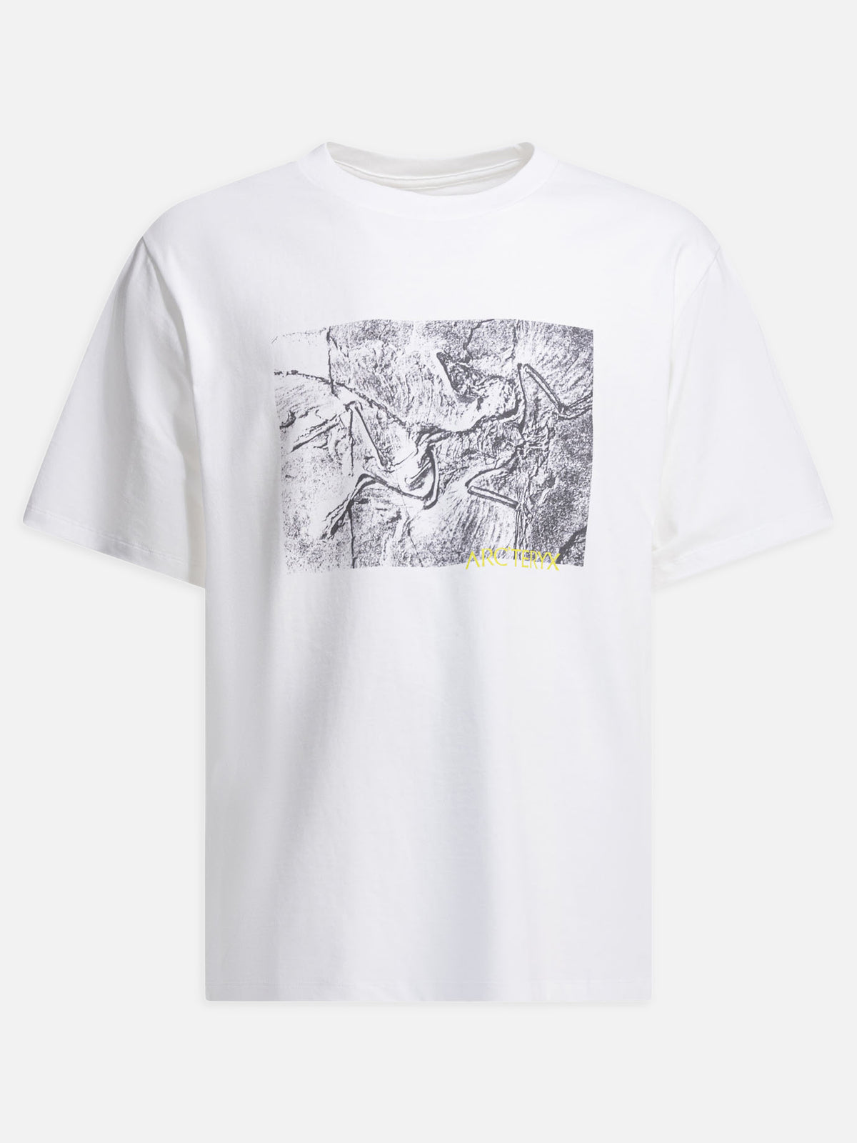 Arc'teryx "Kragg Cotton Lithographica SS" crewneck T-shirt White

