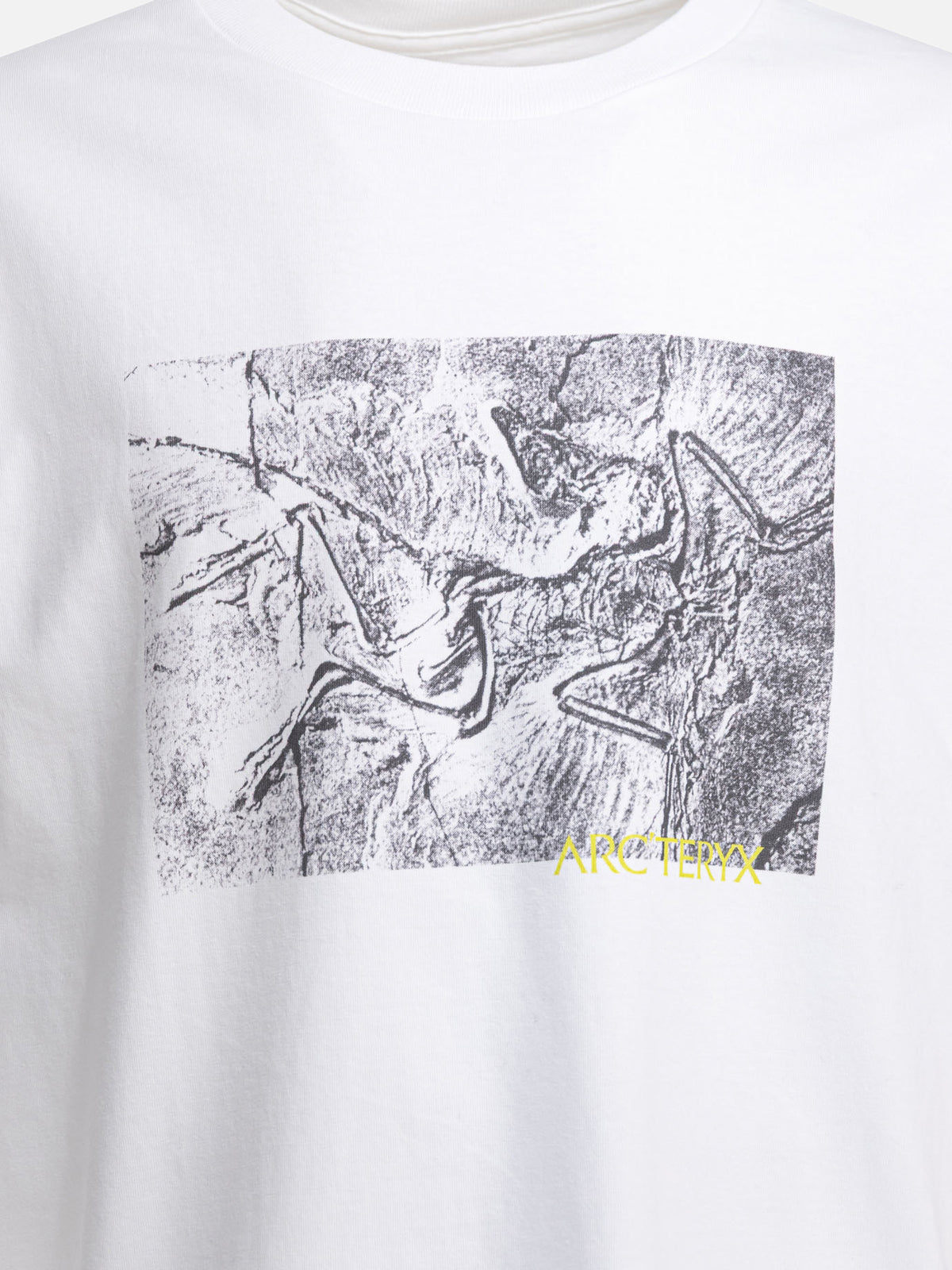 Arc'teryx "Kragg Cotton Lithographica SS" crewneck T-shirt White - VIETTI