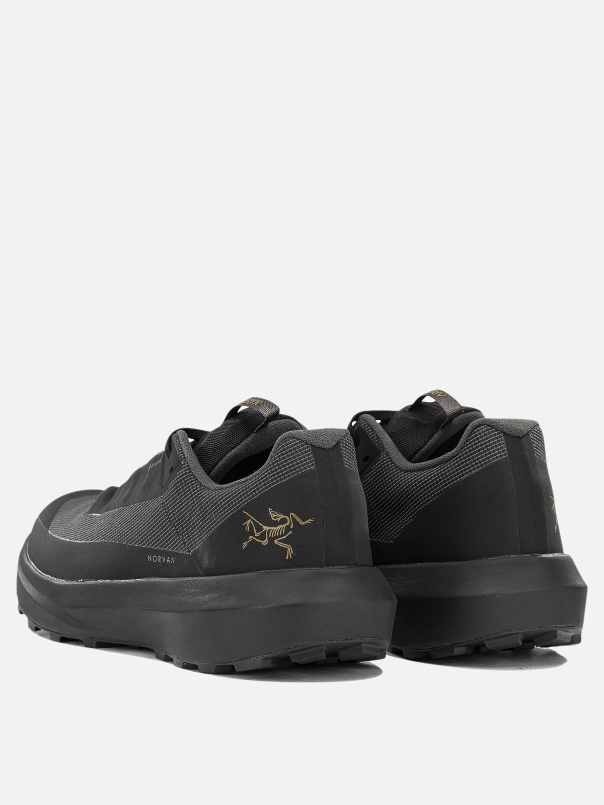 Arc'teryx "Norvan LD 4 GTX" Low top Sneakers Black