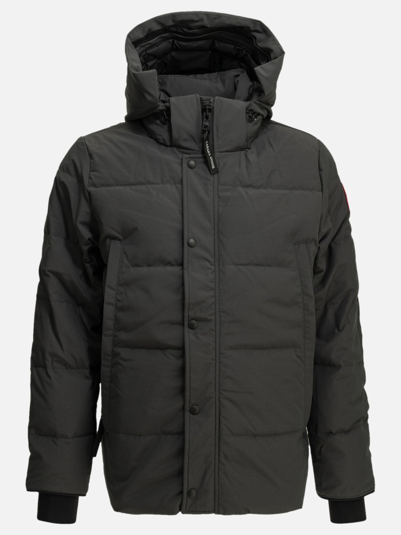 Parka Logo  Grigio - Canada Goose Uomo | PDP | VIETTI Online Store | thumbnail
