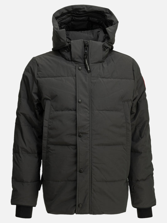 Parkas Logo  Grey - Canada Goose Men | PDP | VIETTI Online Store 
