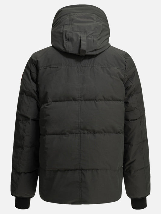 Parkas Logo  Grey - Canada Goose Men | PDP | VIETTI Online Store | 2
