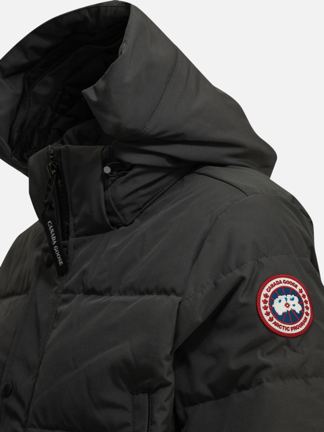 Parka Logo  Grigio - Canada Goose Uomo | PDP | VIETTI Online Store | thumbnail_3