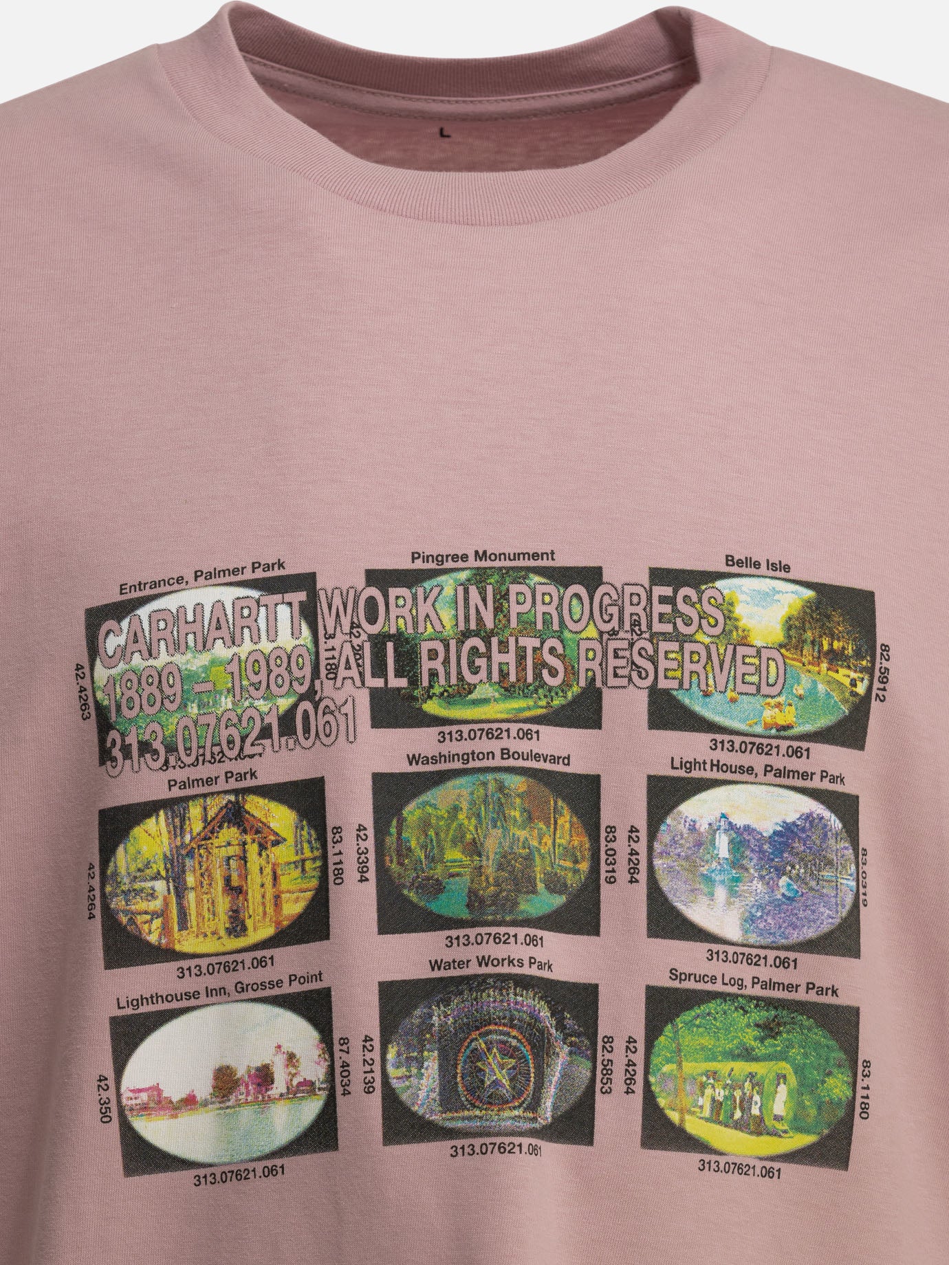 T-shirt girocollo Graphics  Rosa - Carhartt WIP Uomo | PDP | VIETTI Online Store | thumbnail_3