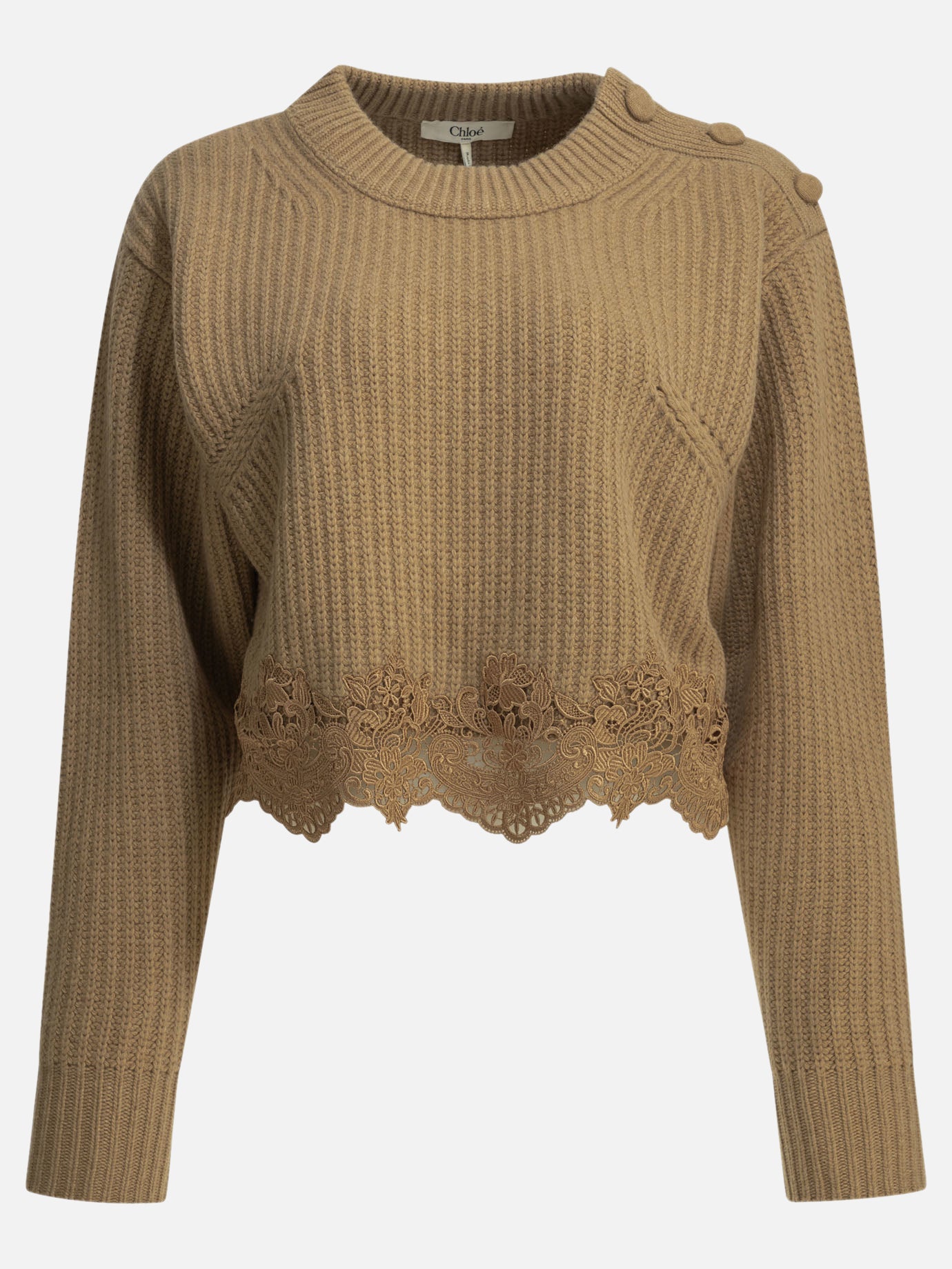 Crewneck sweaters Embroidered  Brown - Chloé Women | PDP | VIETTI Online Store | thumbnail