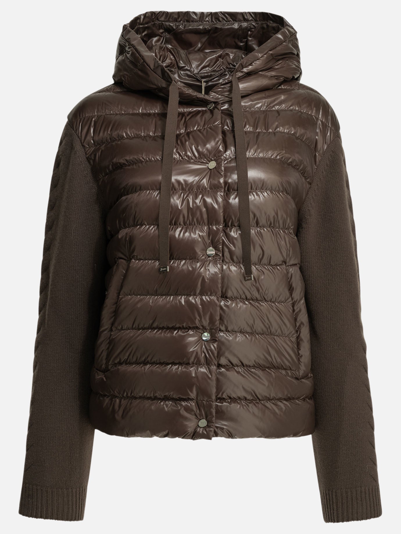 Down jackets Solid colour  Brown - Herno Women | PDP | VIETTI Online Store | thumbnail