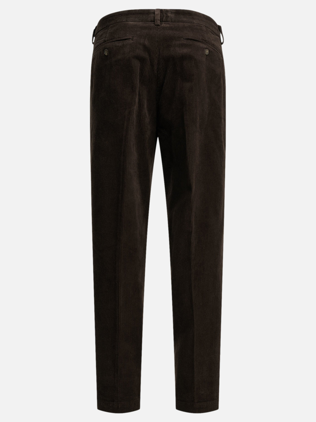Sebago "Rendon" Casual Pants Brown