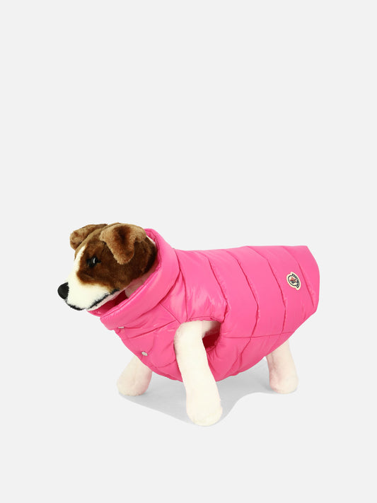 "Moncler x Poldo Dog Couture" dog vest
